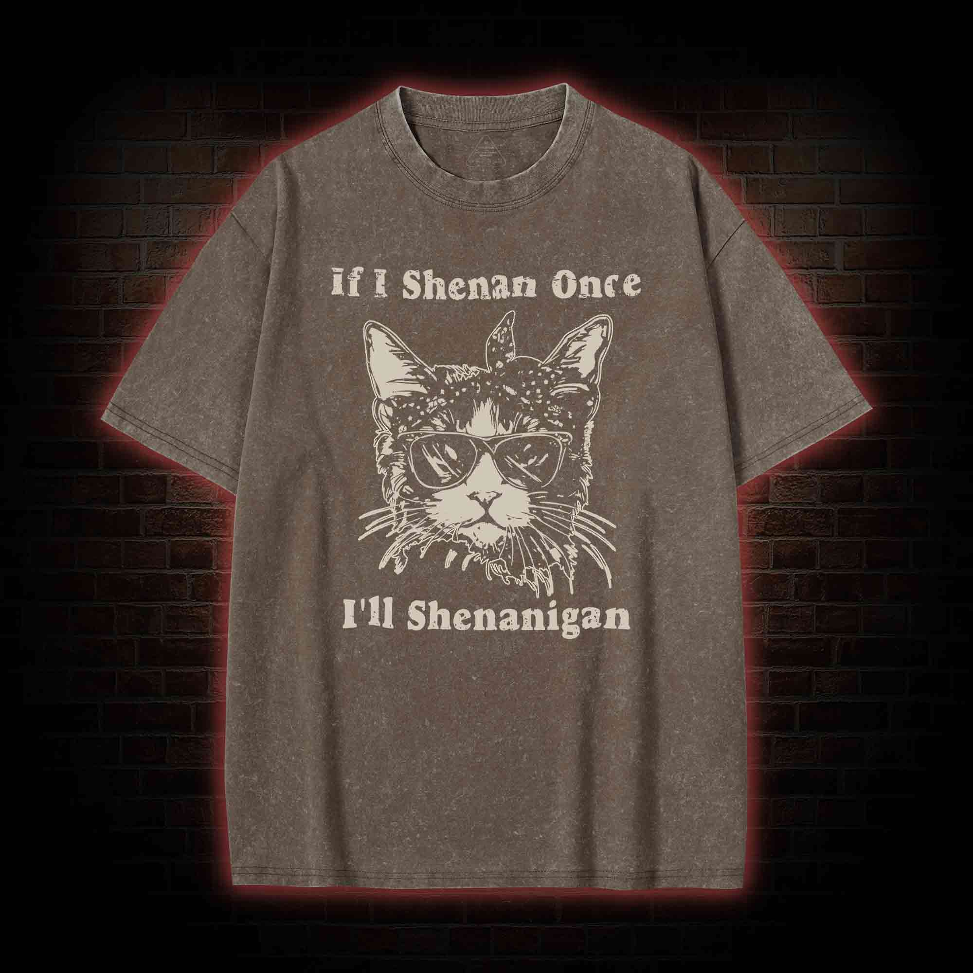 If I Shenan Once I'll Shenanigan Washed T-shirt