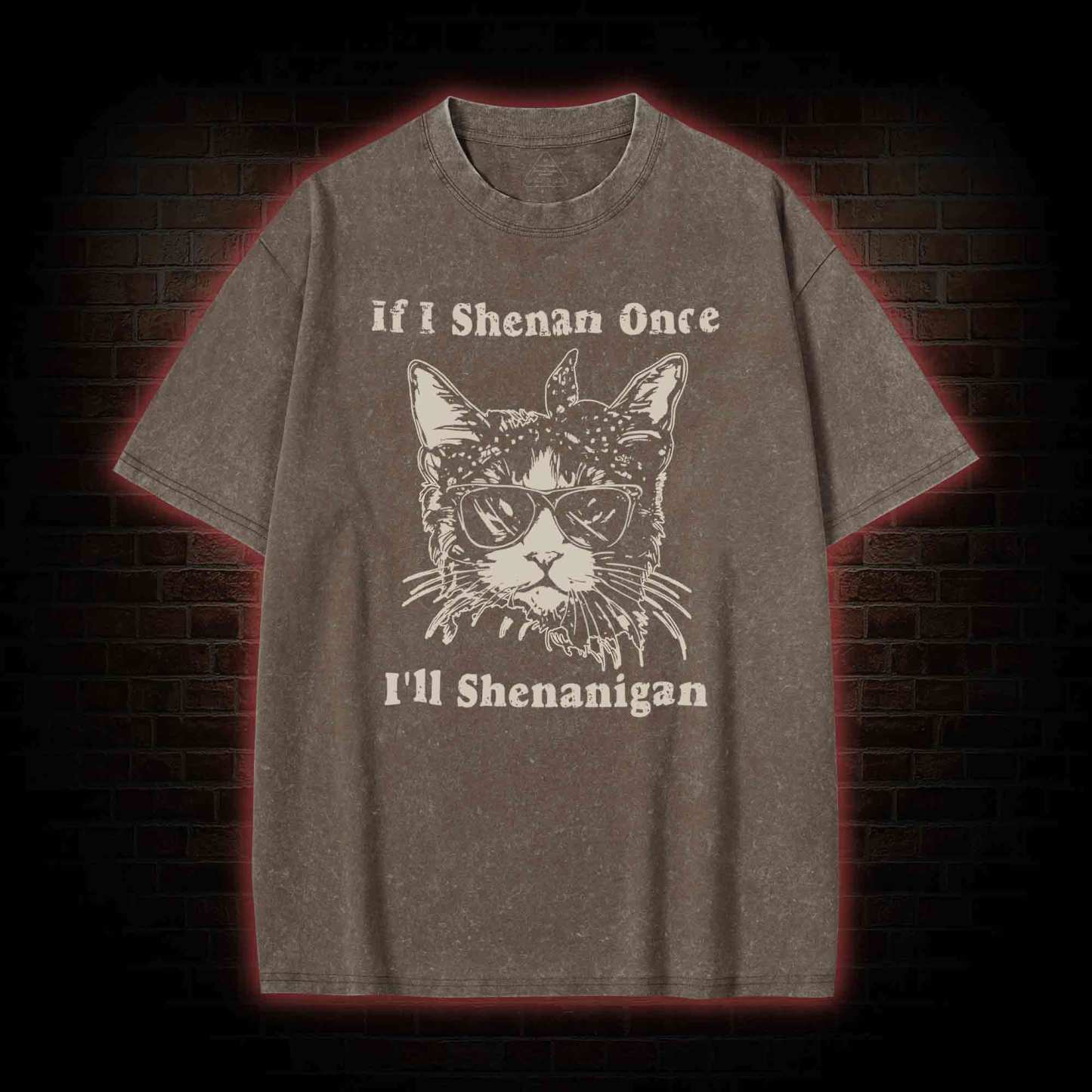 If I Shenan Once I'll Shenanigan Washed T-shirt