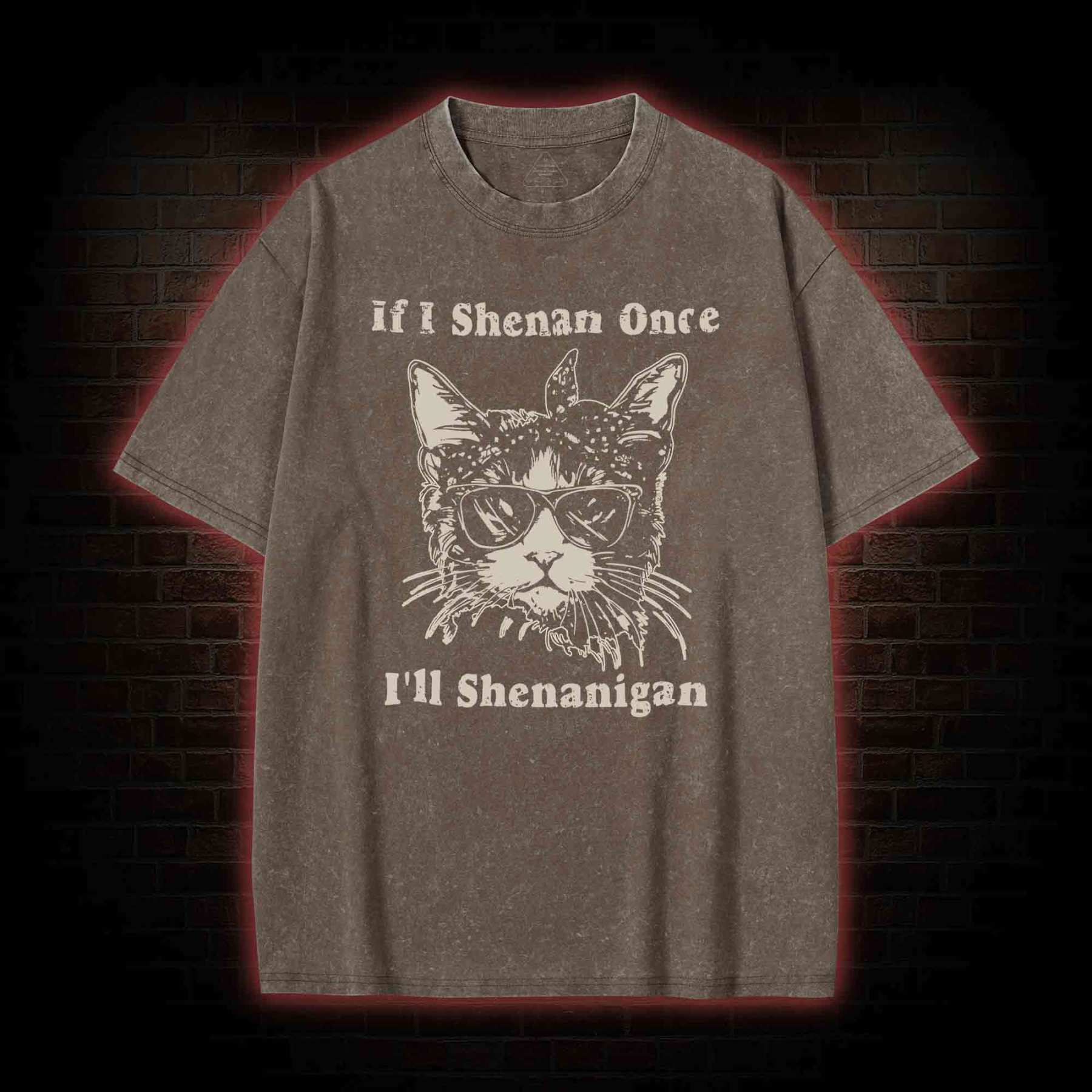 If I Shenan Once I'll Shenanigan Washed T-shirt