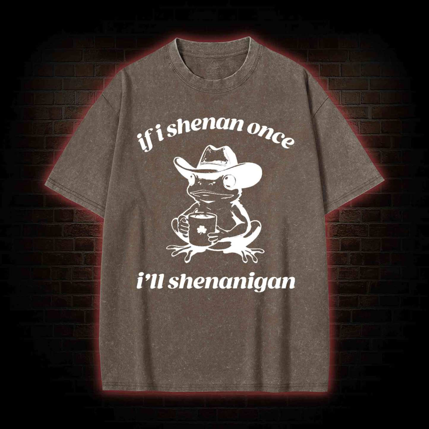 If I Shenan Once I'll Shenanigan Washed T-shirt