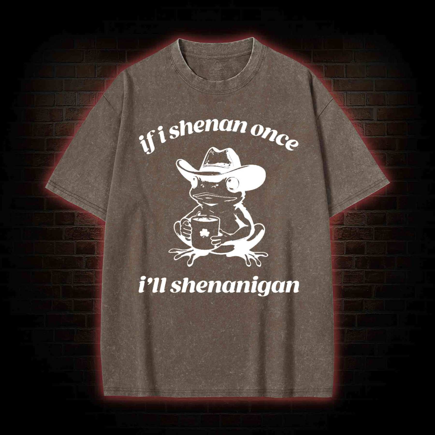If I Shenan Once I'll Shenanigan Washed T-shirt