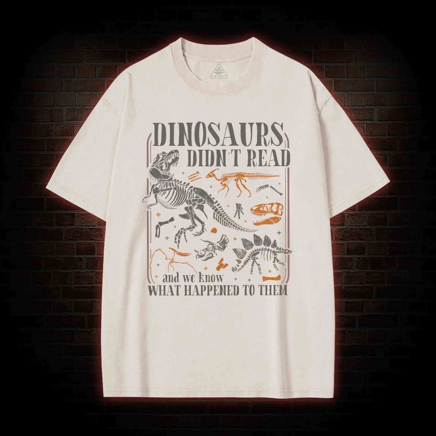 Dinosaurs didn't Read Washed T-shirt