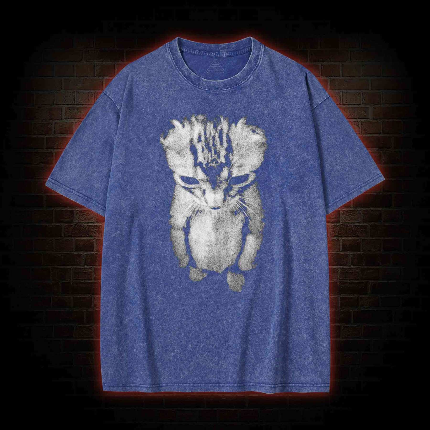 Sad Kitten Meme Standing Cat Washed T-shirt
