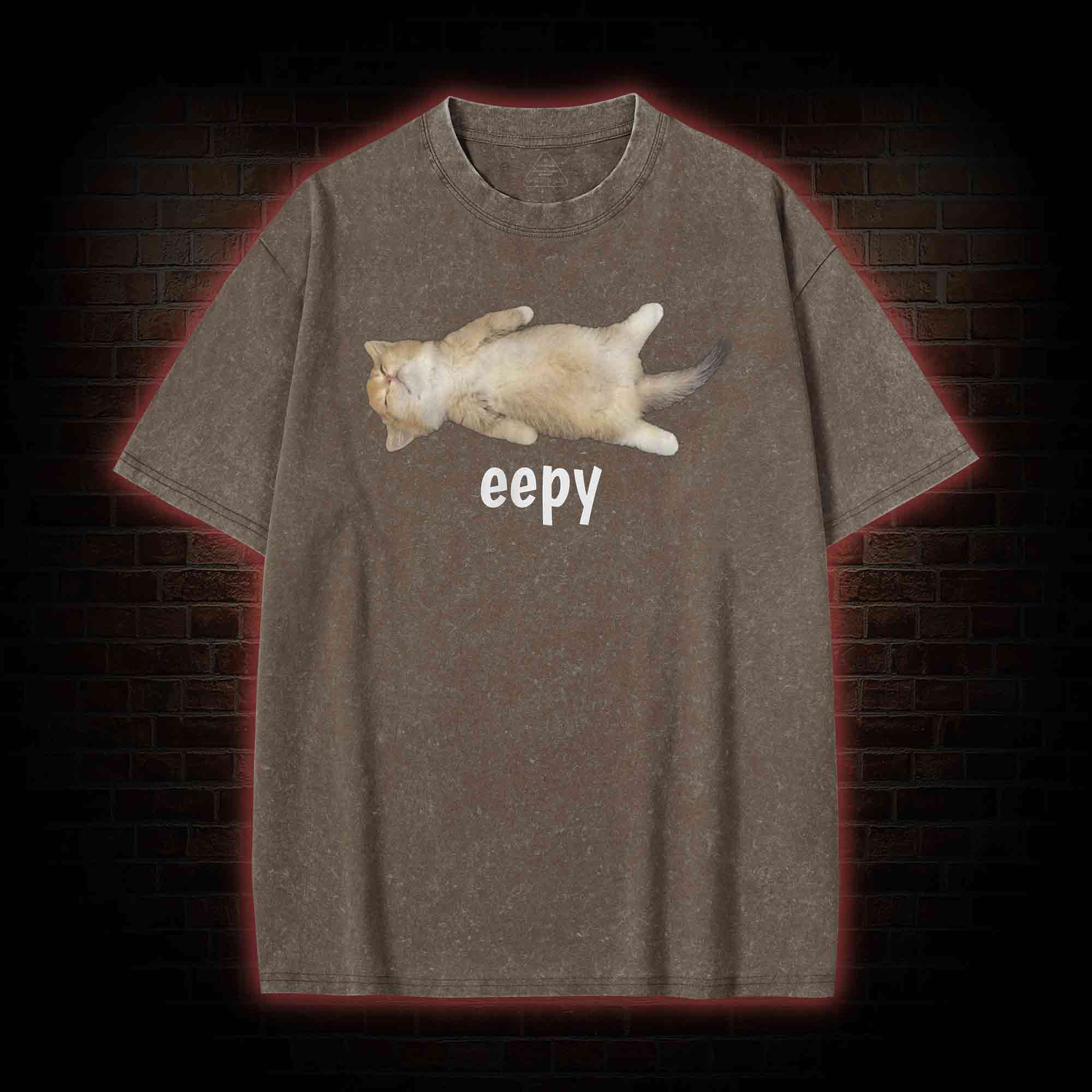 Silly Sleepy Cat Washed T-shirt