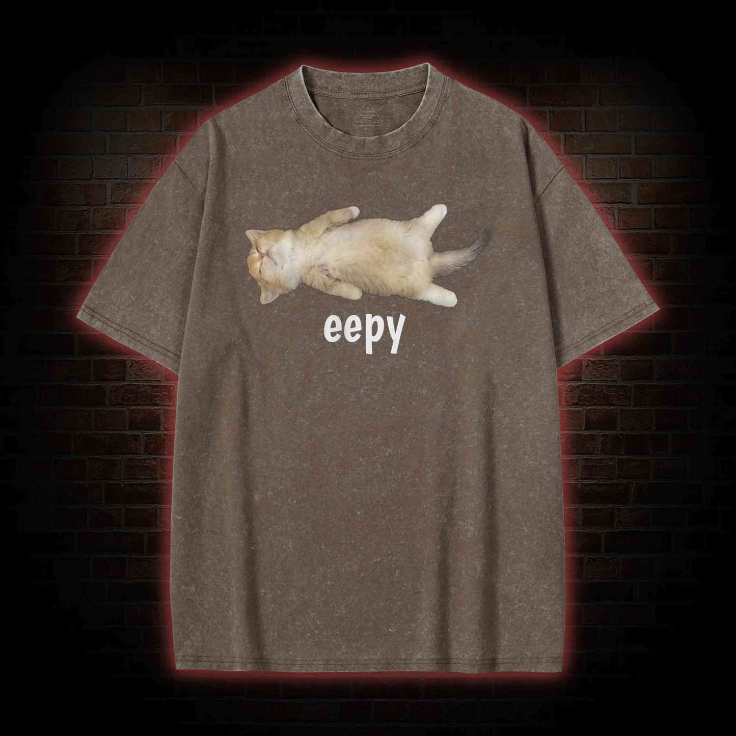 Silly Sleepy Cat Washed T-shirt