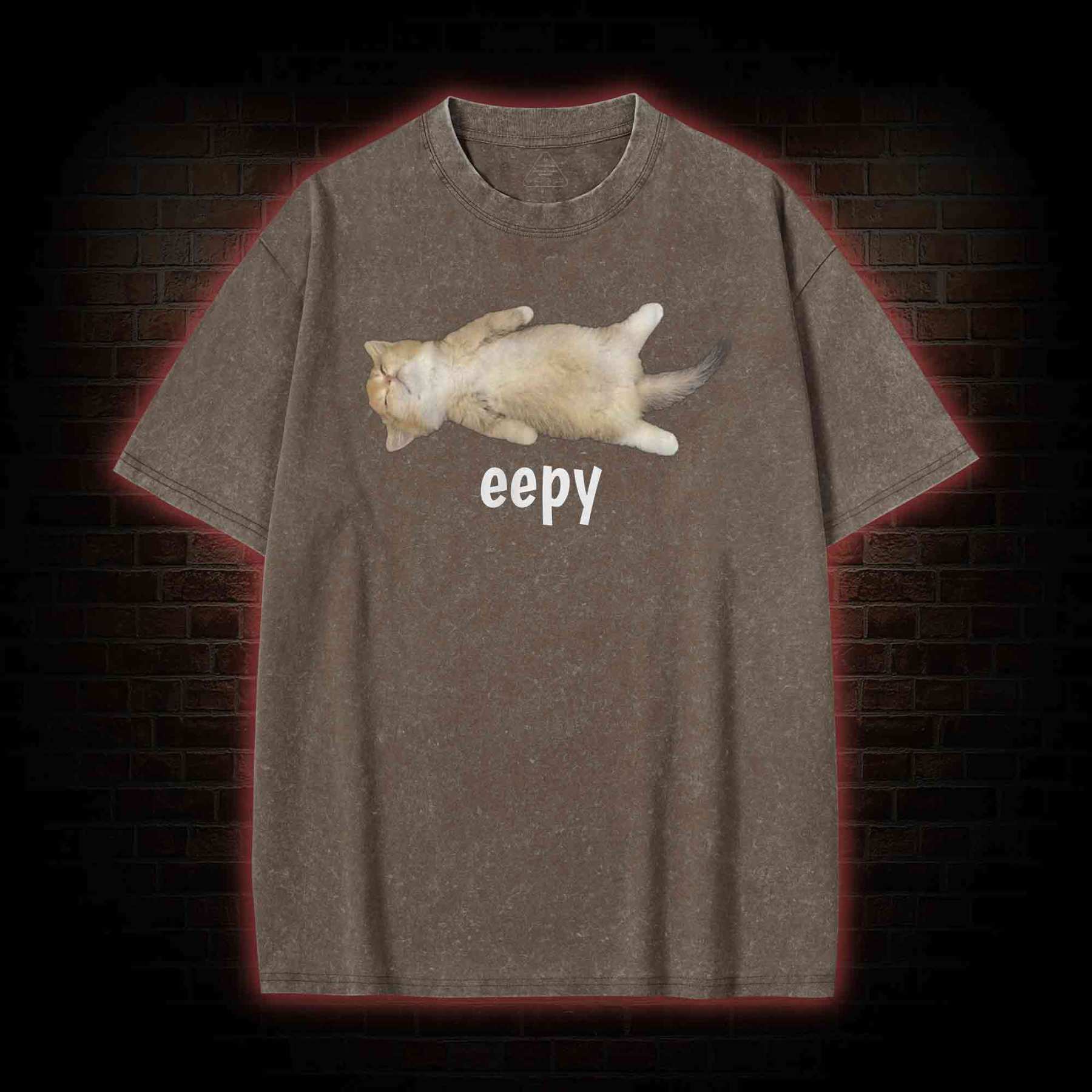 Silly Sleepy Cat Washed T-shirt