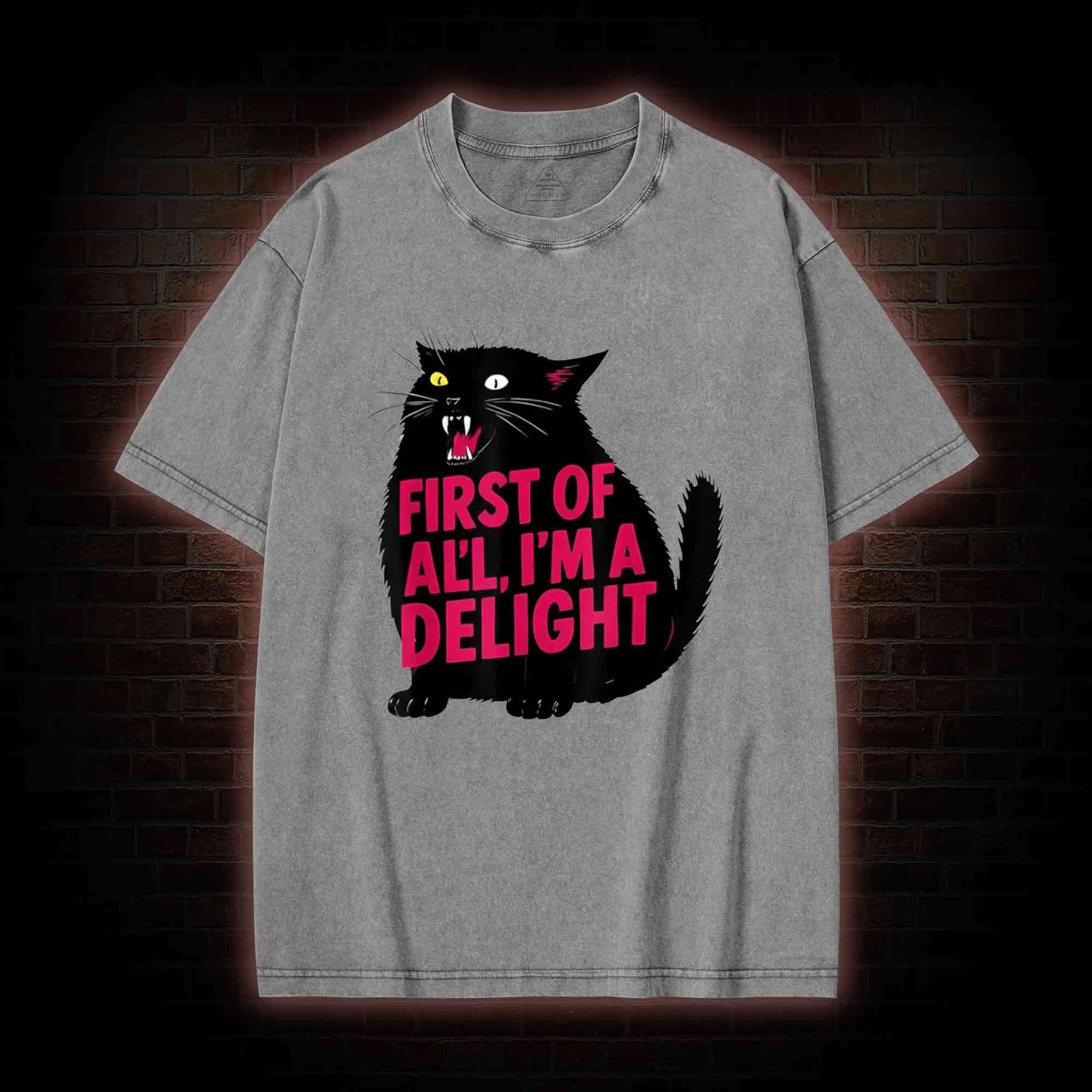First of all I’m a Delight Washed T-shirt