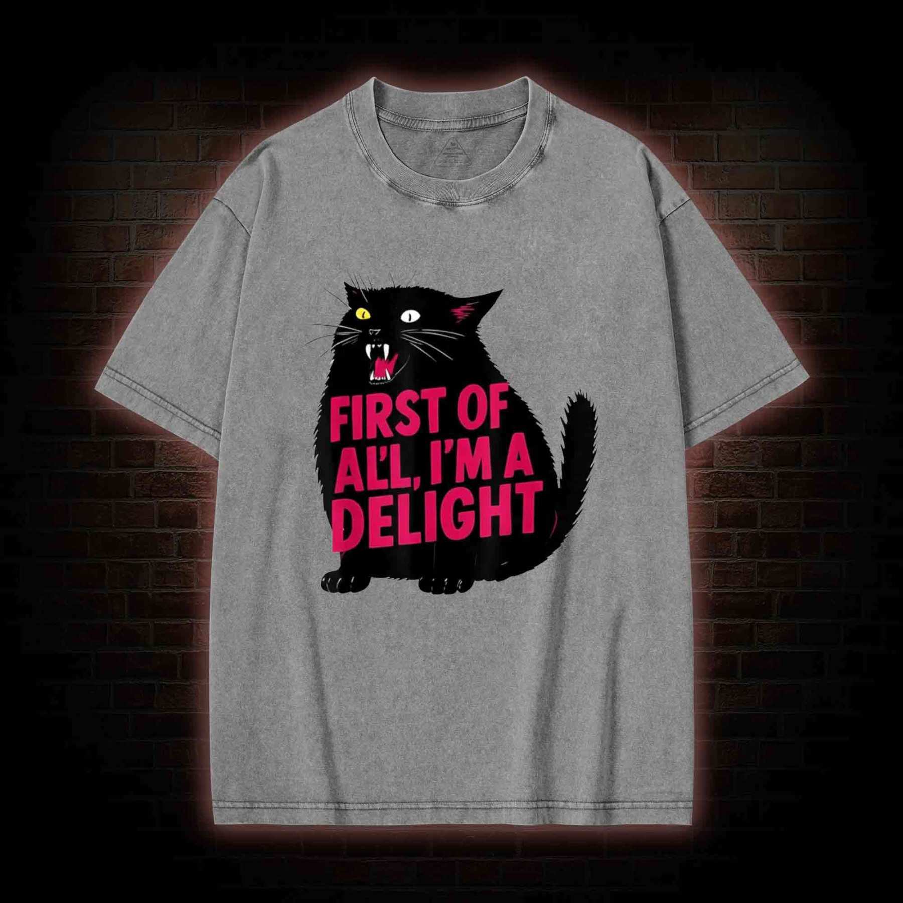 First of all I’m a Delight Washed T-shirt