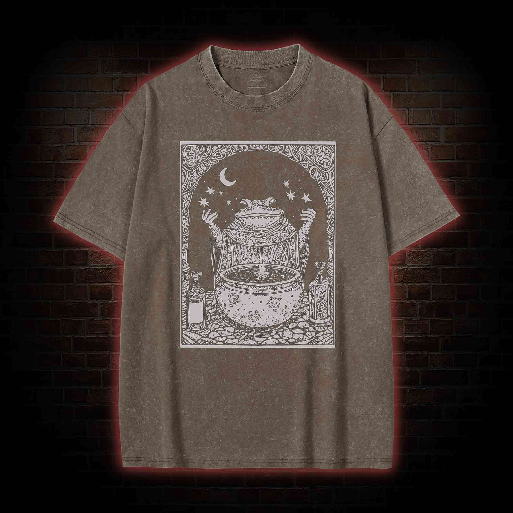 Frog Wizard Washed T-shirt