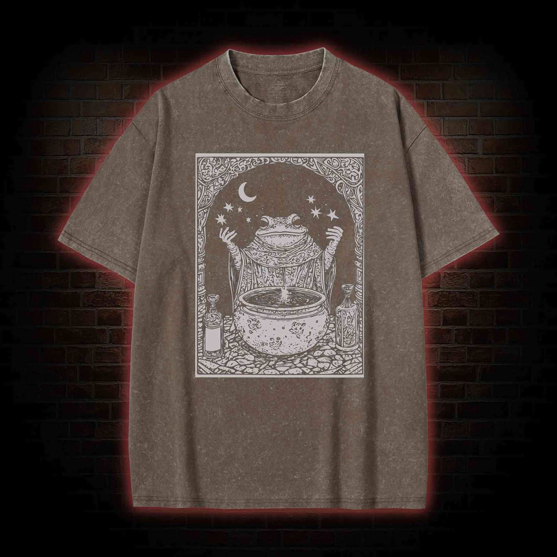 Frog Wizard Washed T-shirt