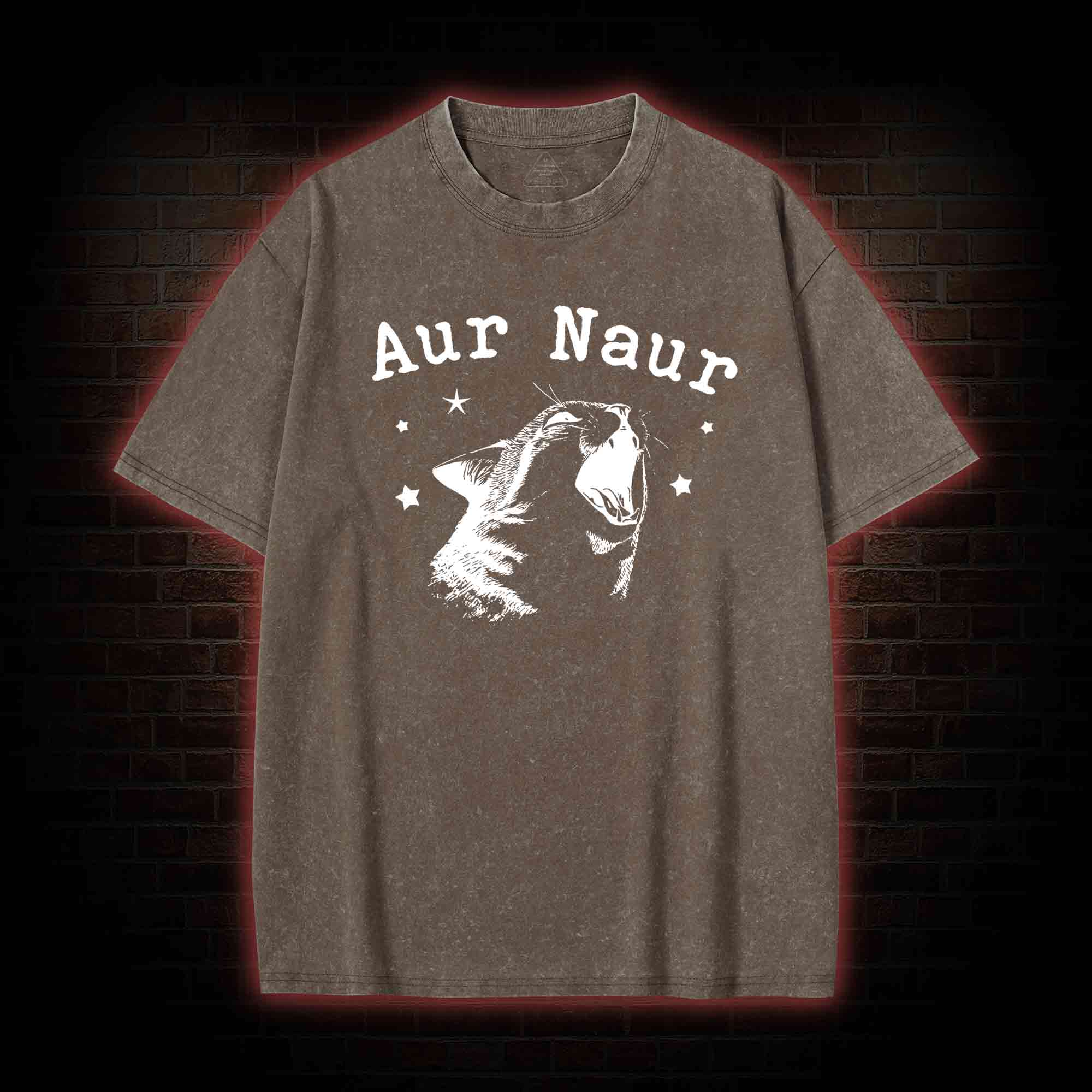 Aur Naur Cat Washed T-shirt