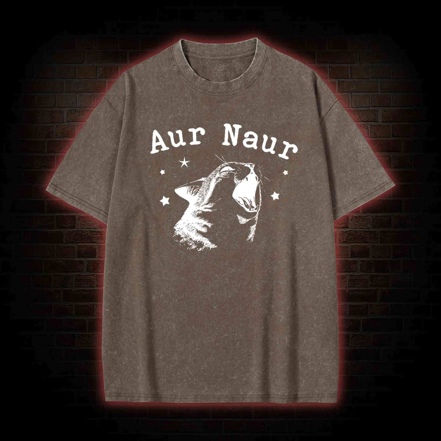 Aur Naur Cat Washed T-shirt
