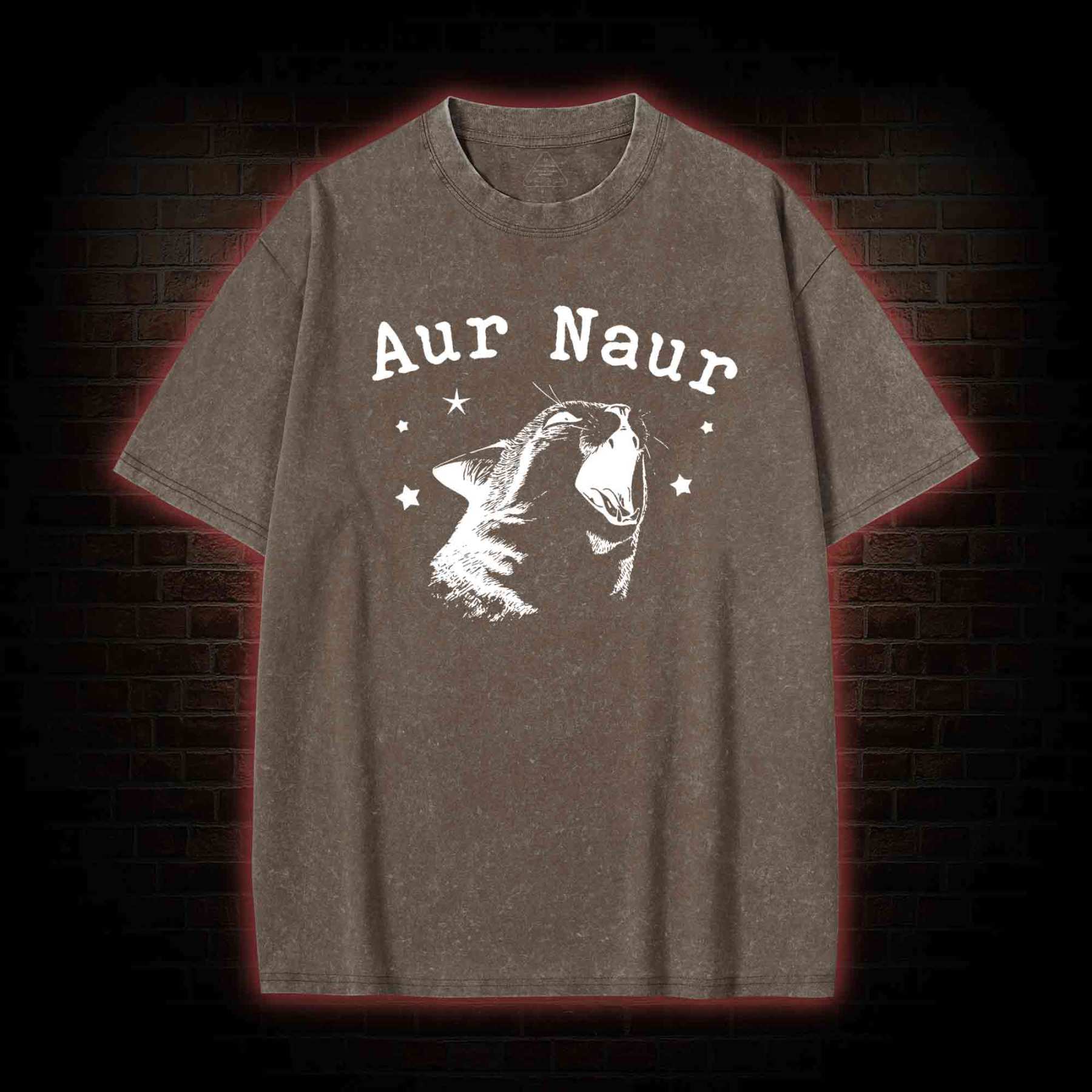 Aur Naur Cat Washed T-shirt