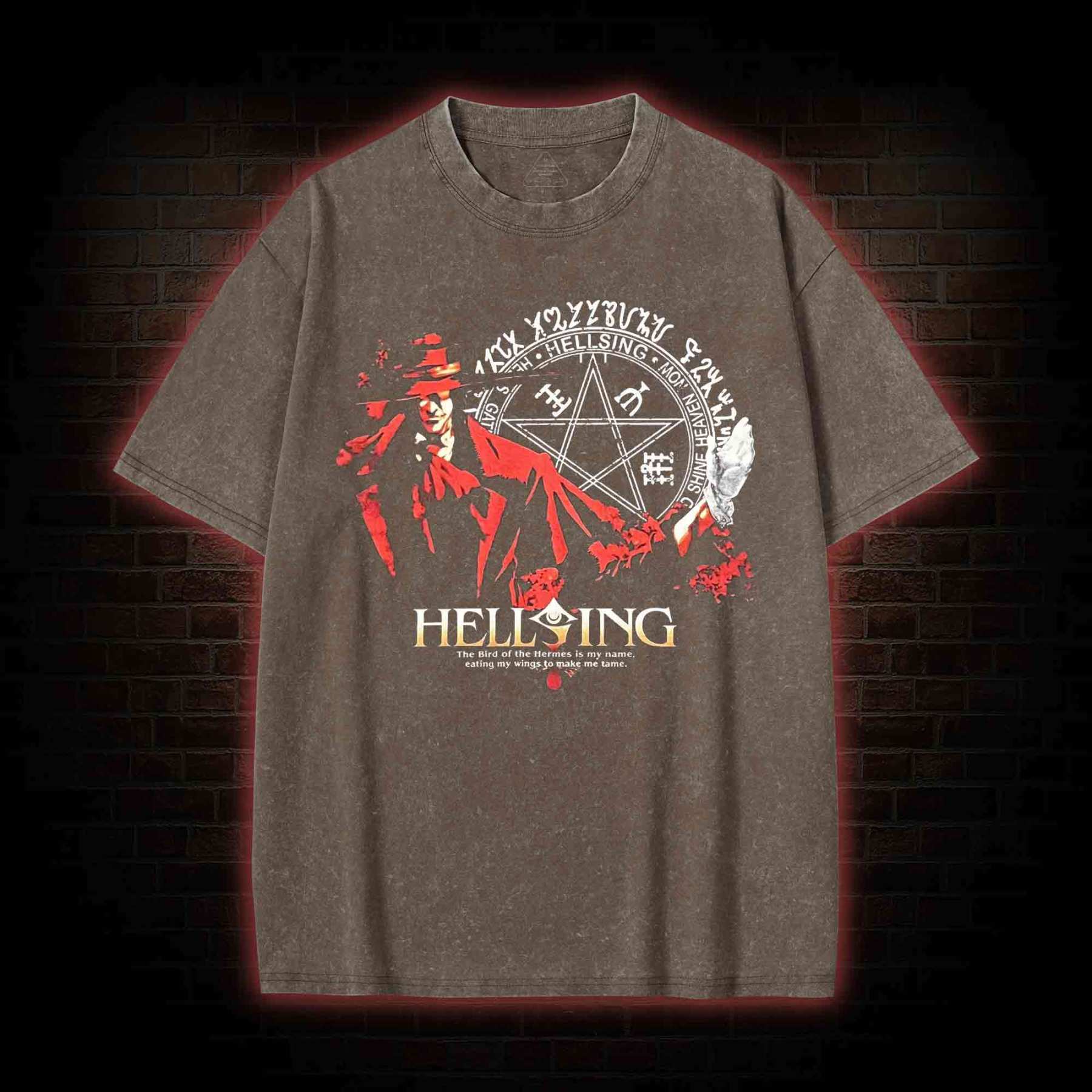 The Bird of the Hermes is My Name Washed T-shirt