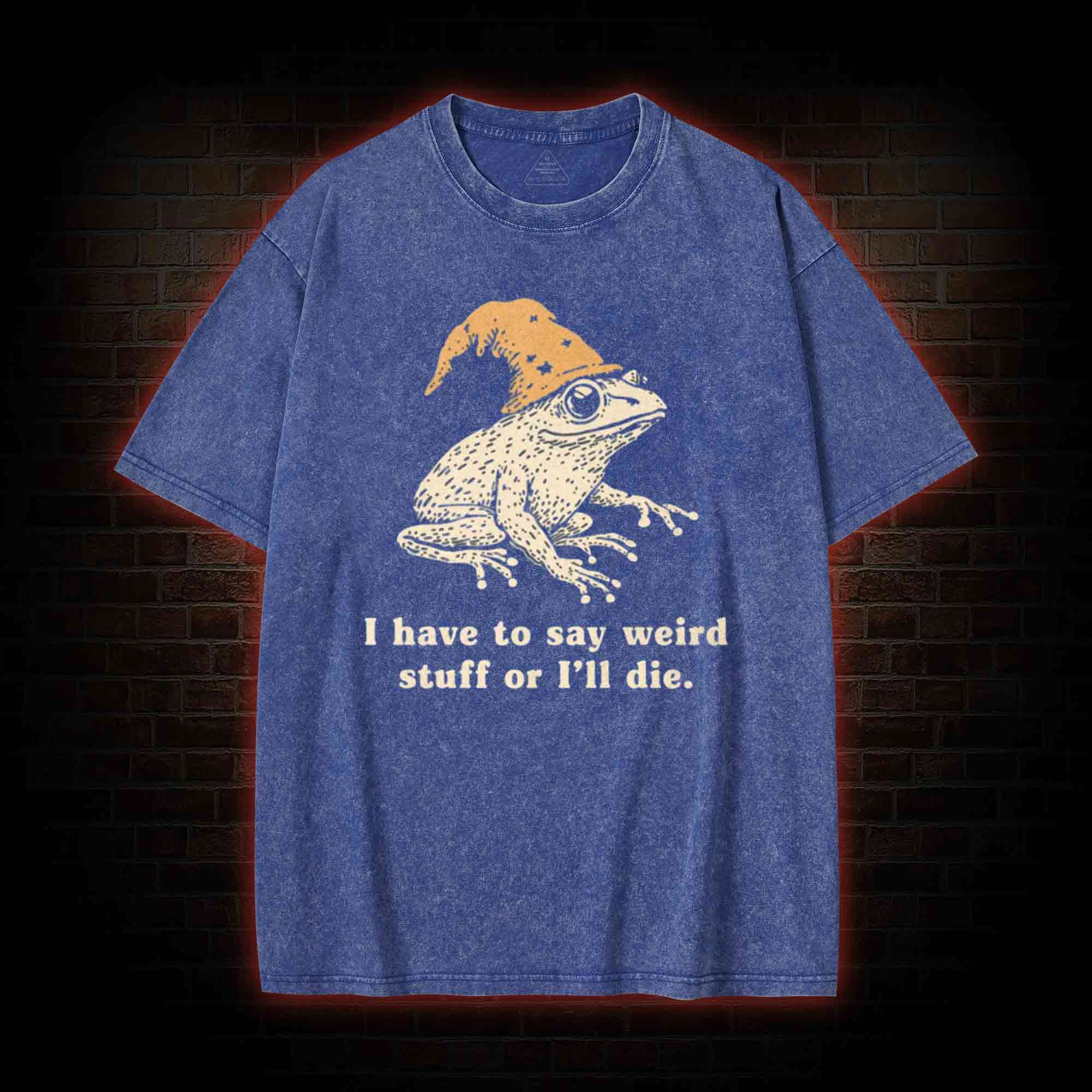 Frog Meme Washed T-shirt