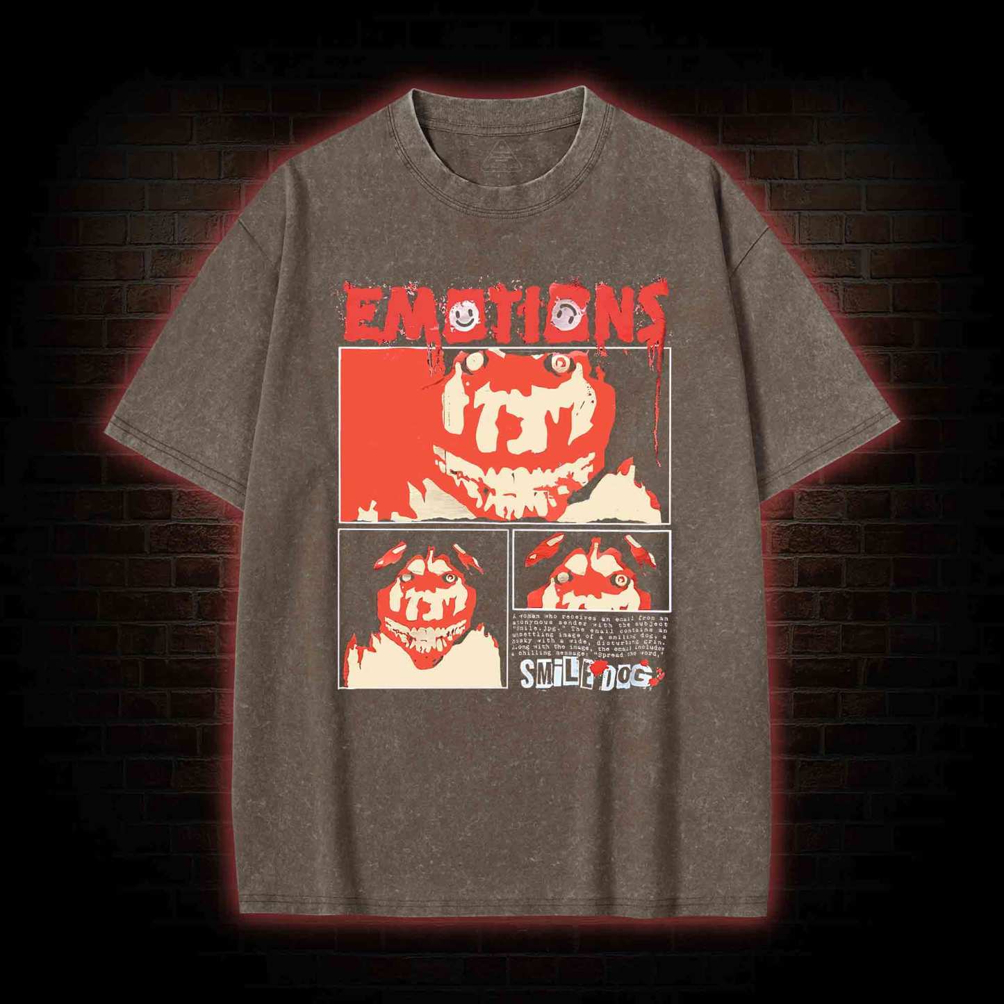 Emotions Washed T-shirt