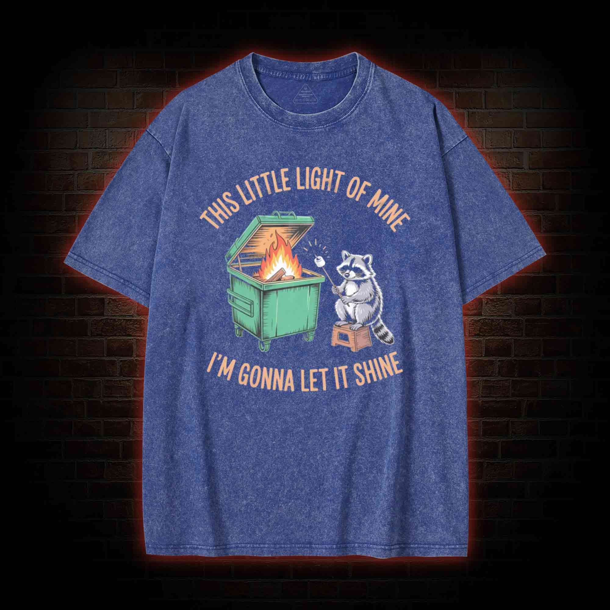 Dumpster Fire Raccoon Washed T-shirt