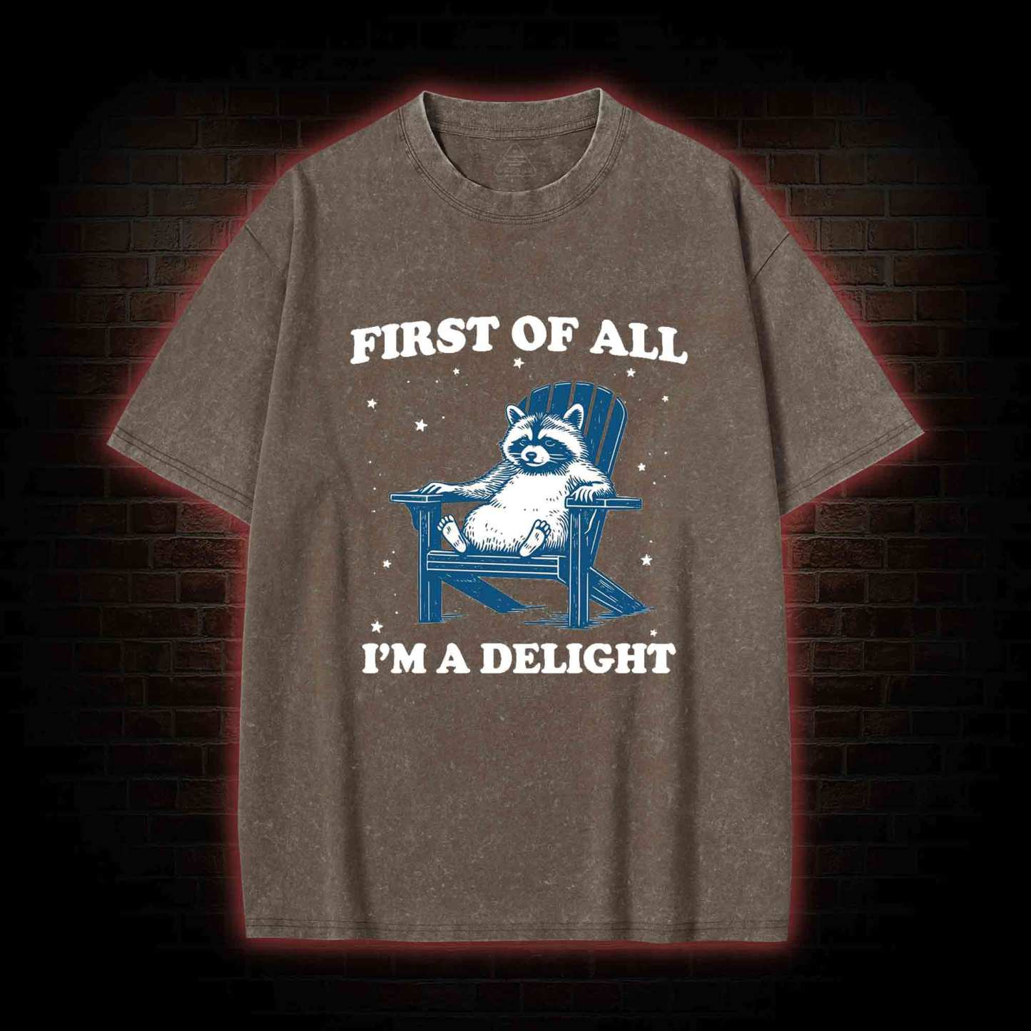 First of All I'm a Delight Washed T-shirt