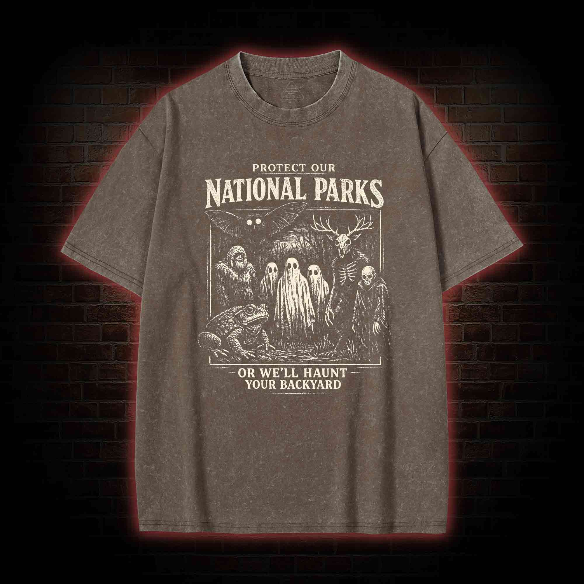 Protect Our National Parks Washed T-shirt