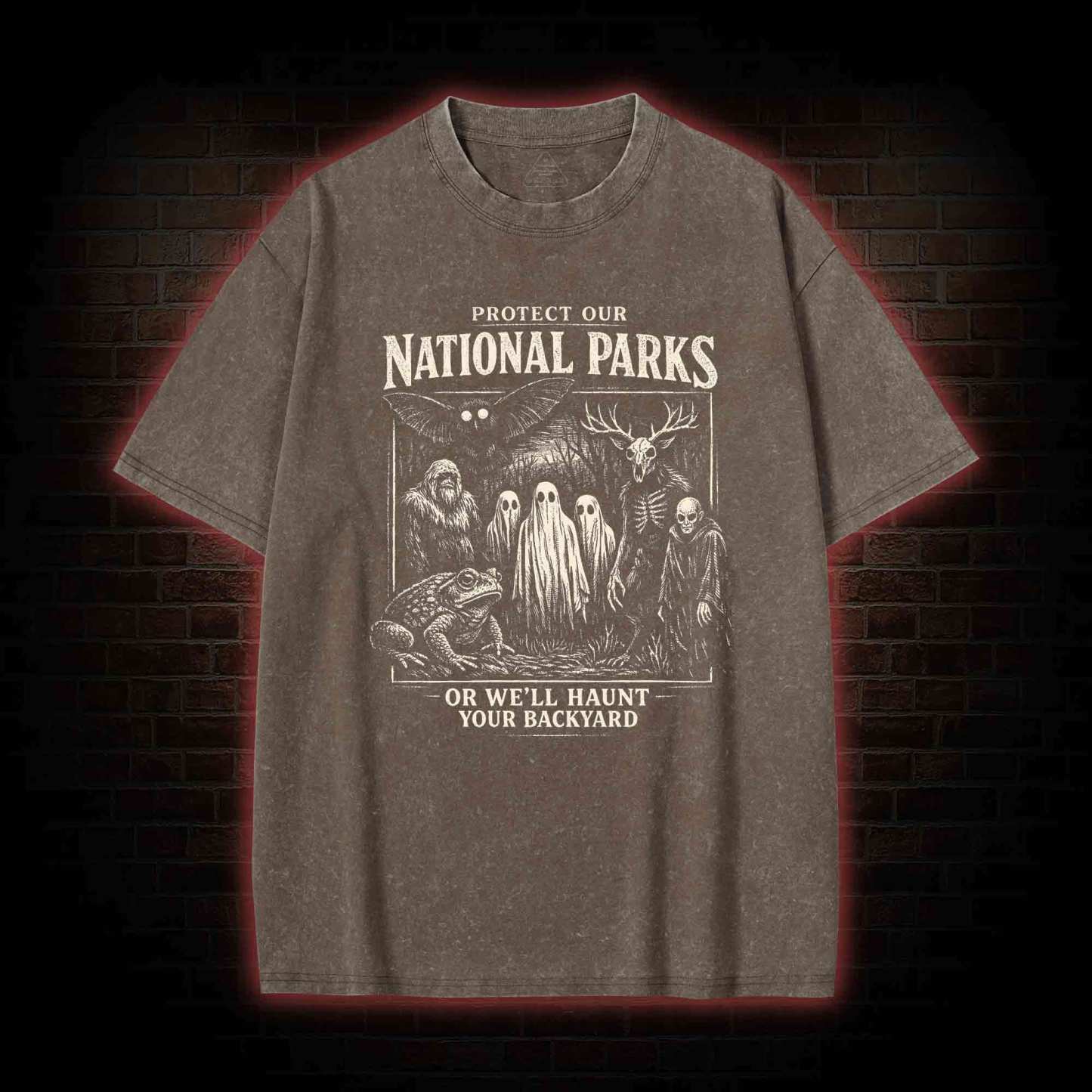 Protect Our National Parks Washed T-shirt