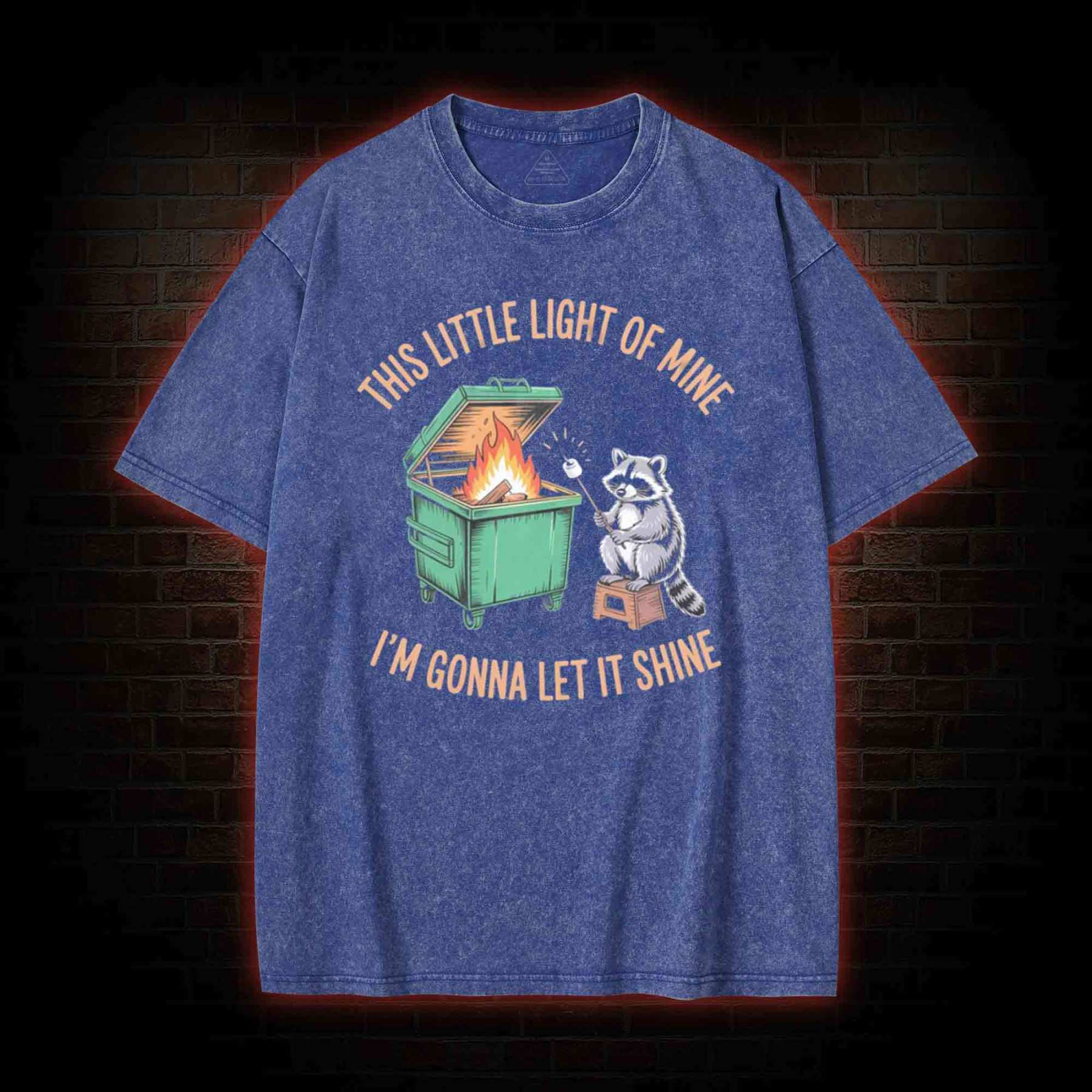 Dumpster Fire Raccoon Washed T-shirt