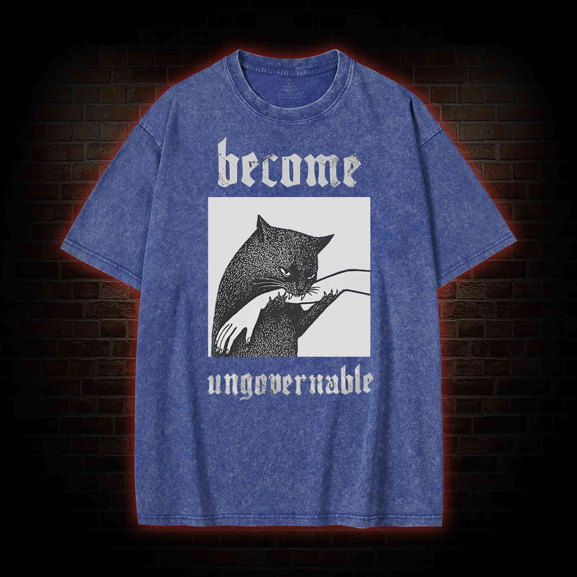 Silly Cats Washed T-shirt