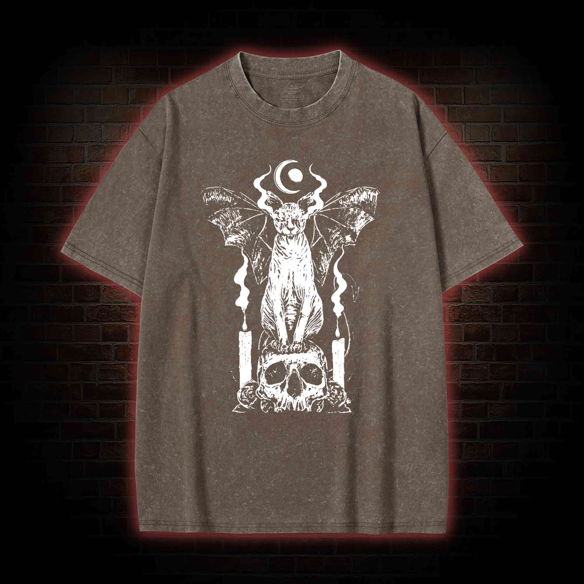 Sphynx Cat Washed T-shirt