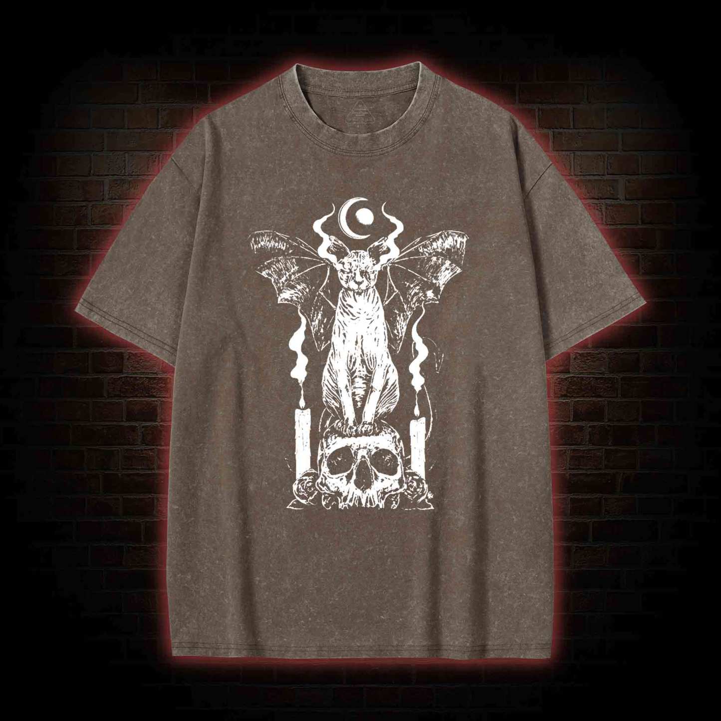 Sphynx Cat Washed T-shirt