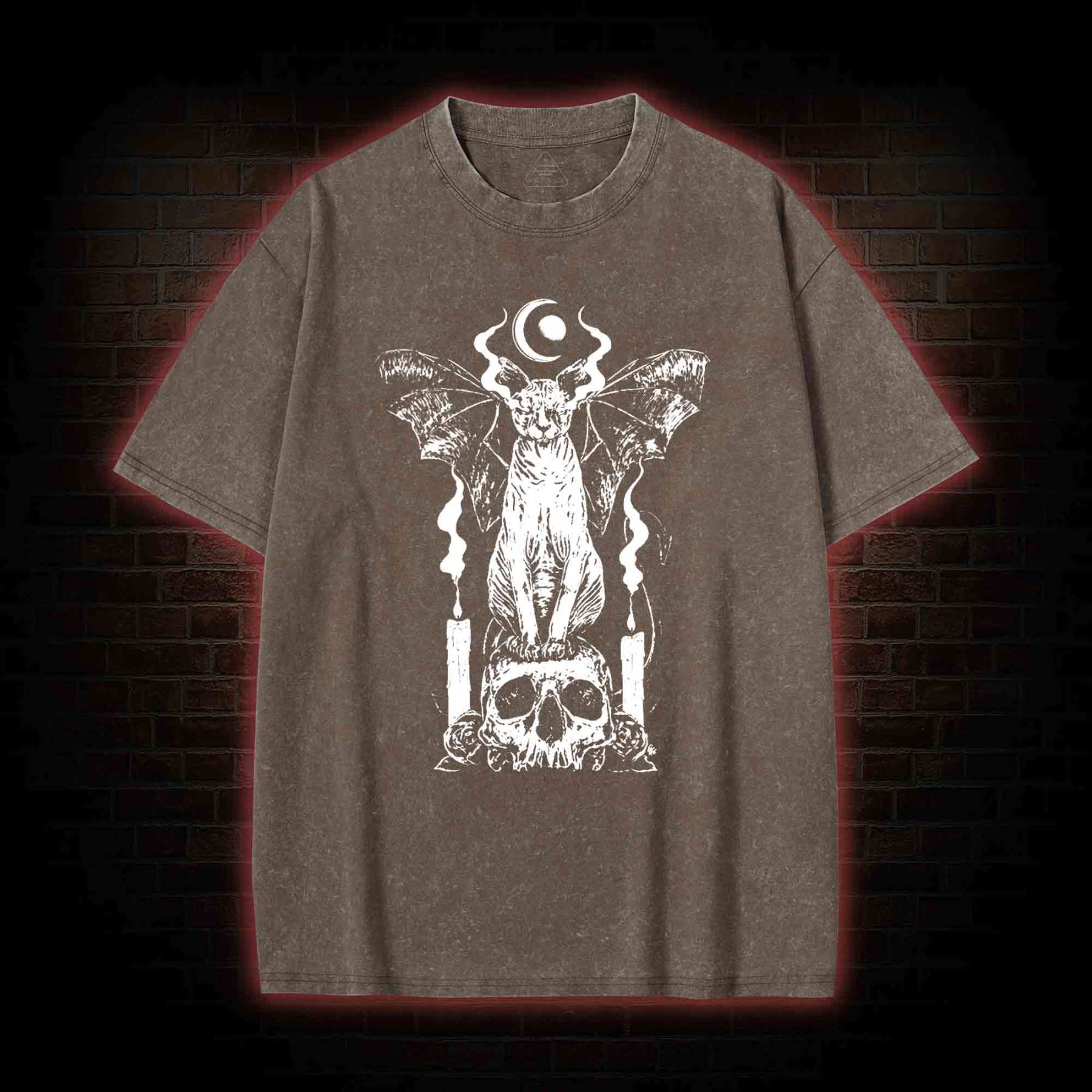 Sphynx Cat Washed T-shirt