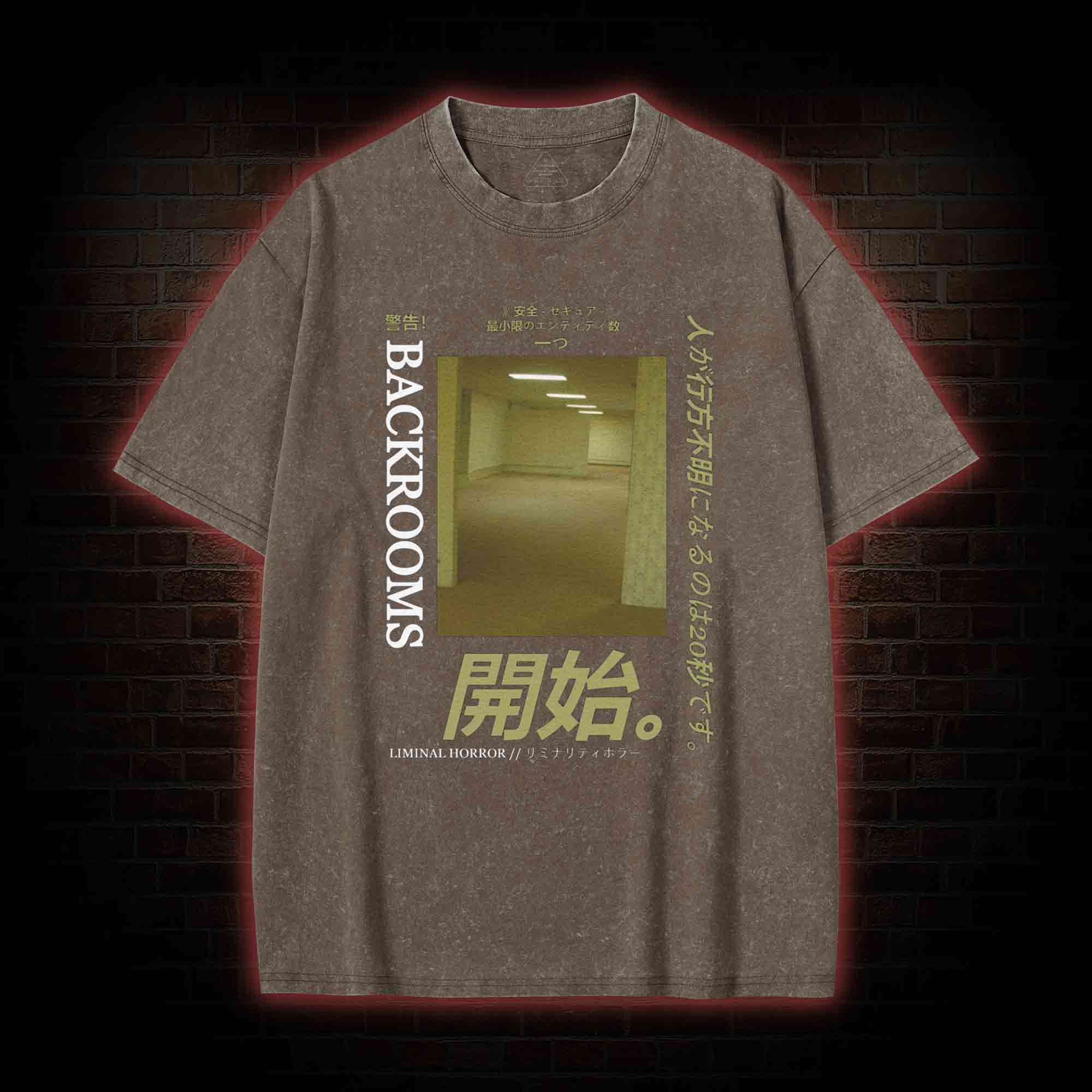 Liminal Horror Washed T-shirt