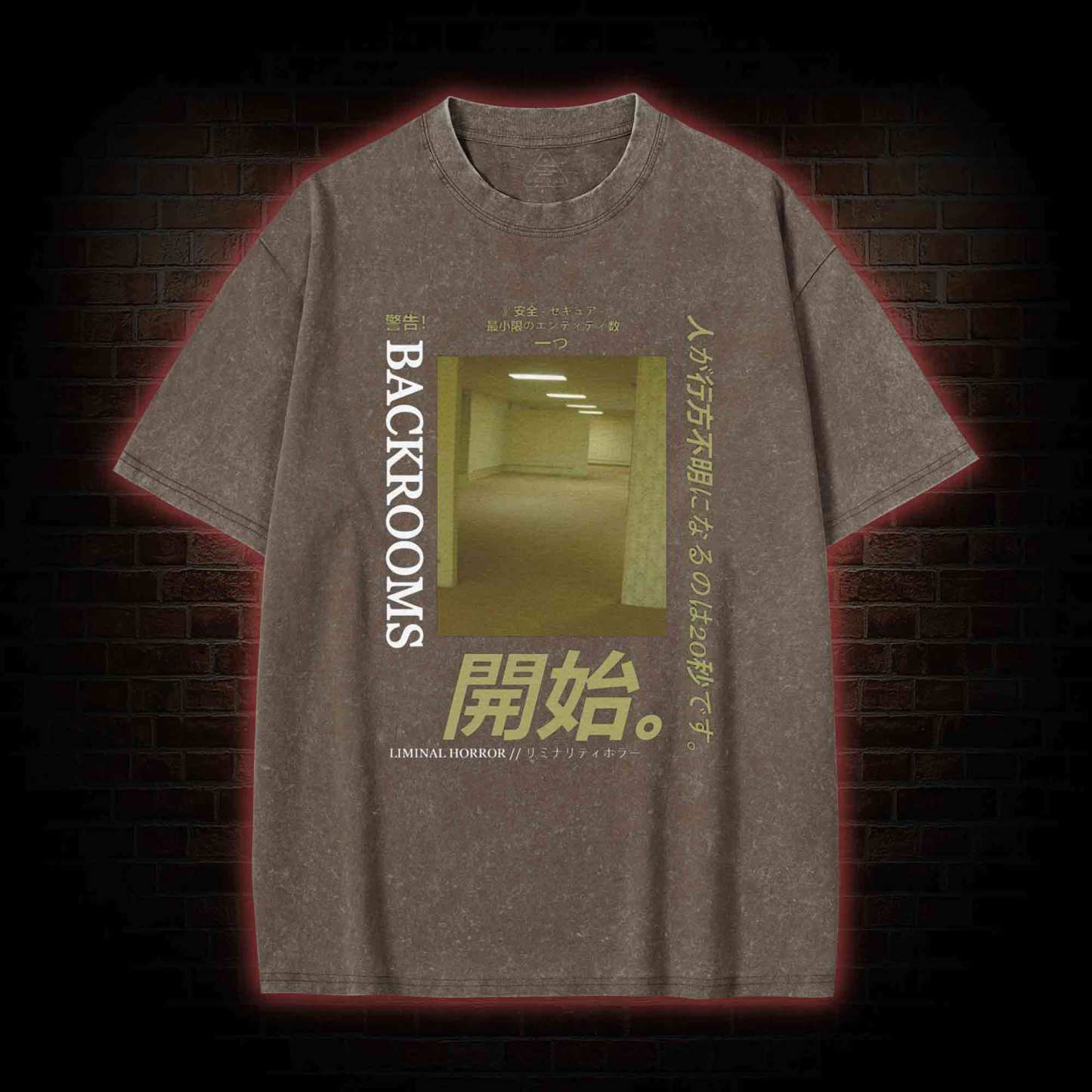 Liminal Horror Washed T-shirt