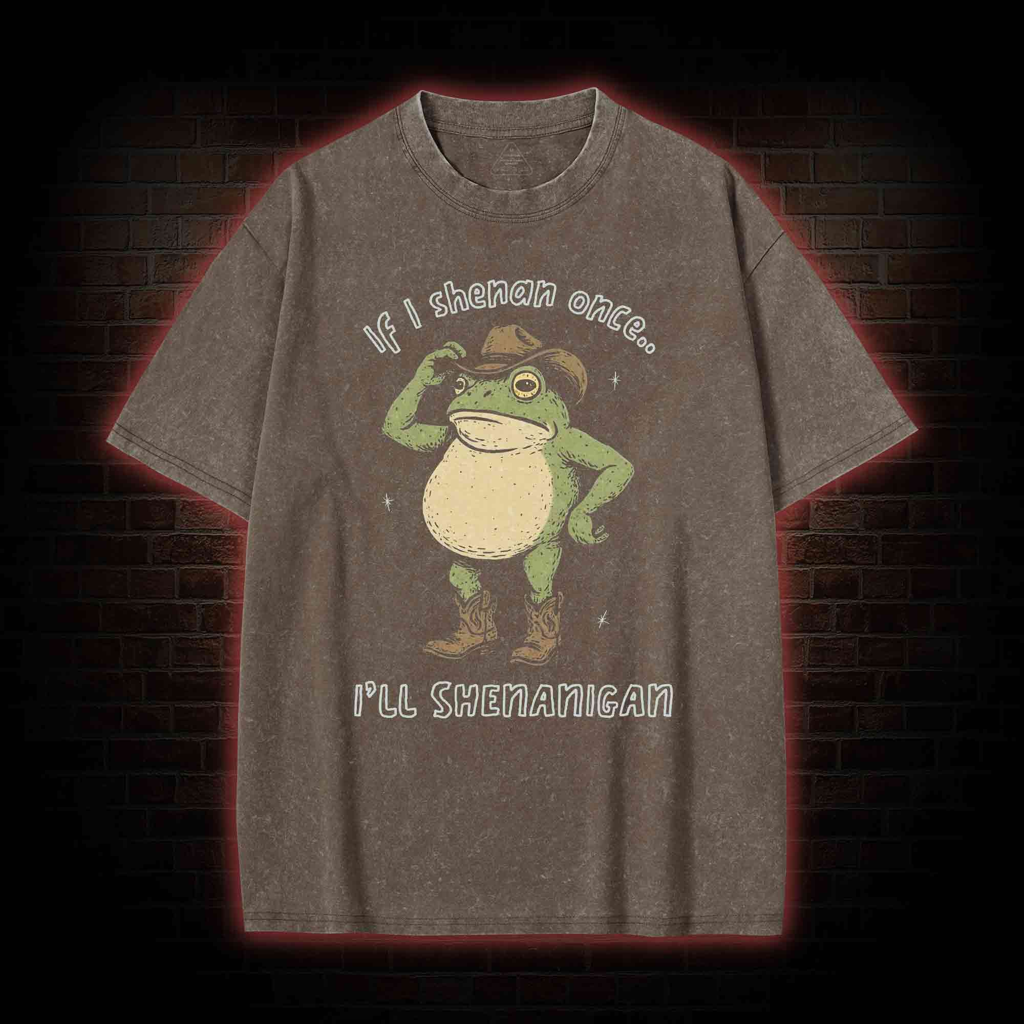 If I Shenan once... I'll Shenanigan Washed T-shirt