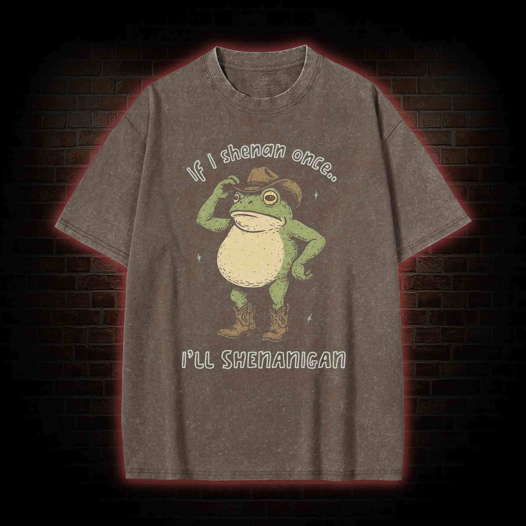 If I Shenan once... I'll Shenanigan Washed T-shirt