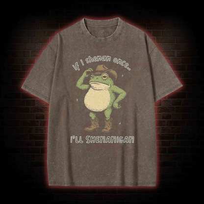 If I Shenan once... I'll Shenanigan Washed T-shirt