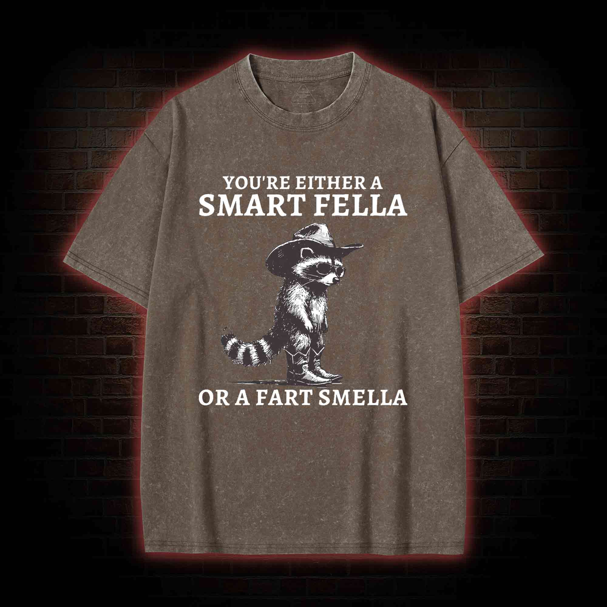 You're Either a Smart Fella or a  Fart Smella Washed T-shirt