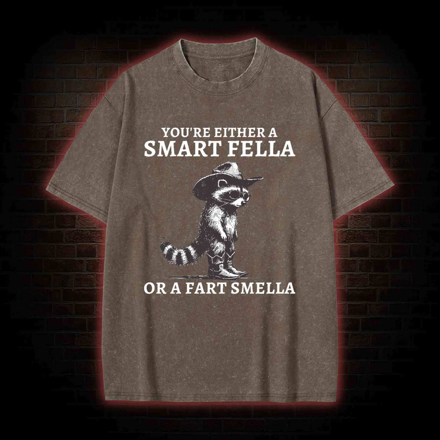 You're Either a Smart Fella or a  Fart Smella Washed T-shirt
