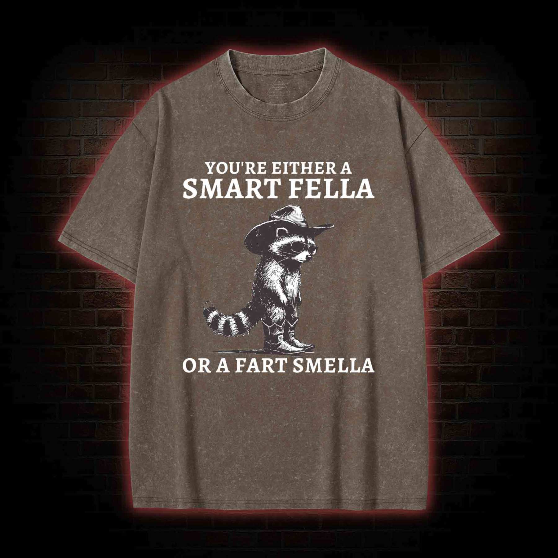 You're Either a Smart Fella or a  Fart Smella Washed T-shirt