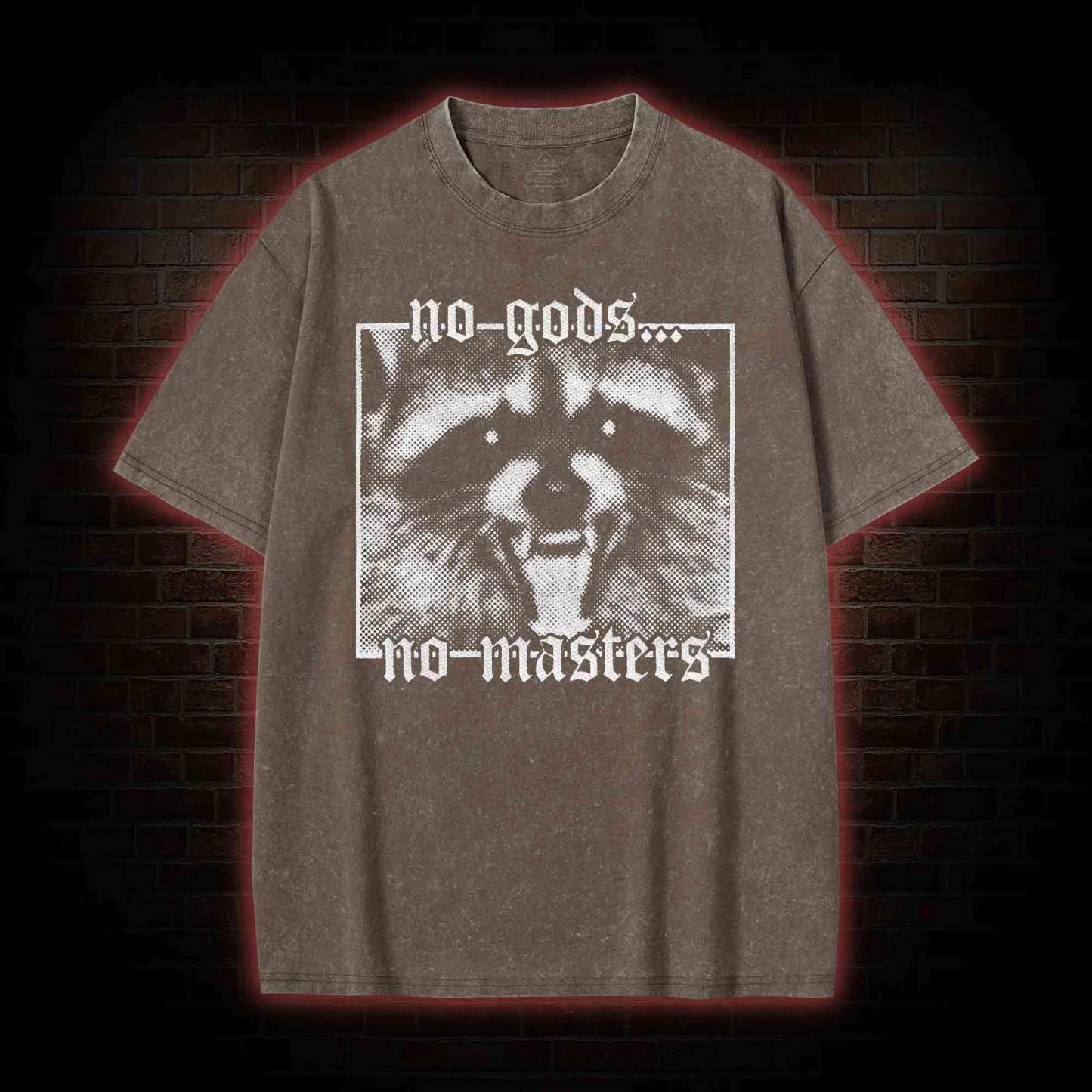 No Gods No Masters Raccoon Washed T-shirt