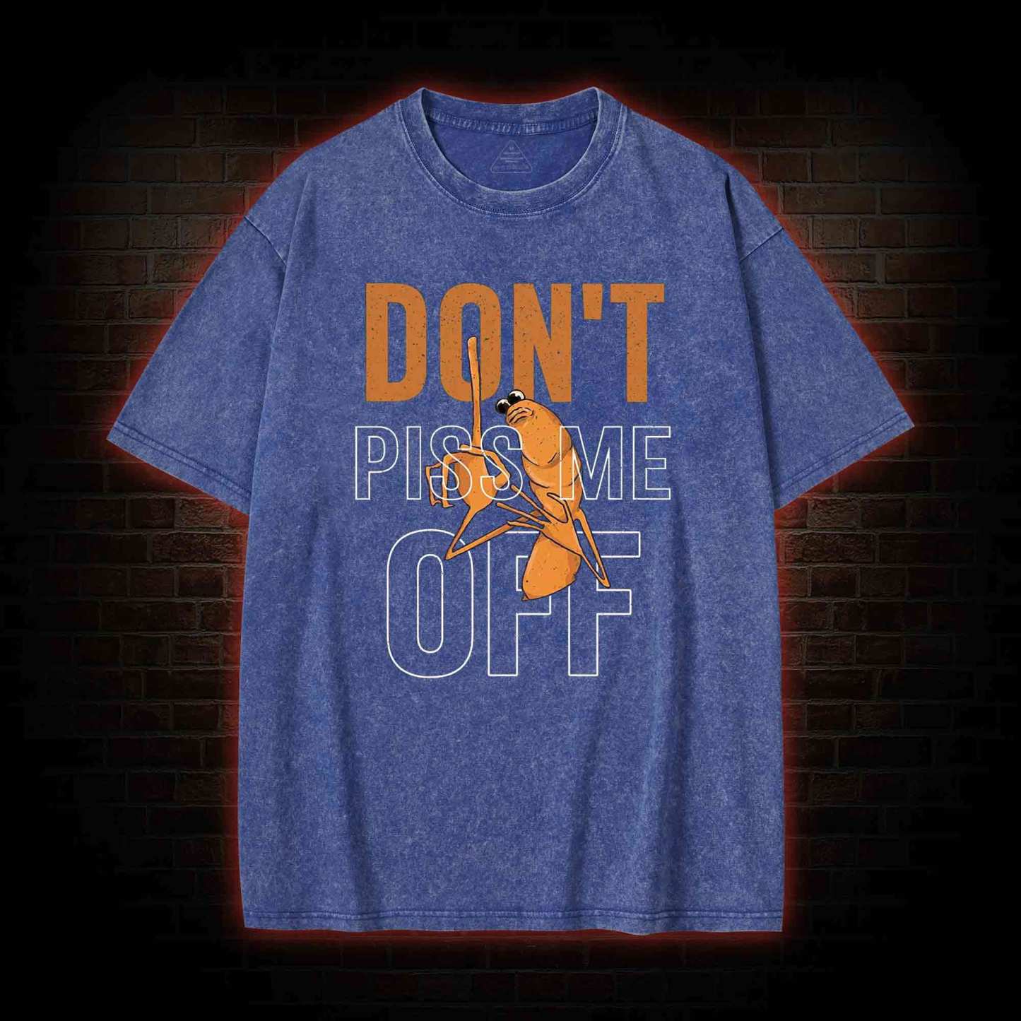 Don't Piss Me Off Washed T-shirt