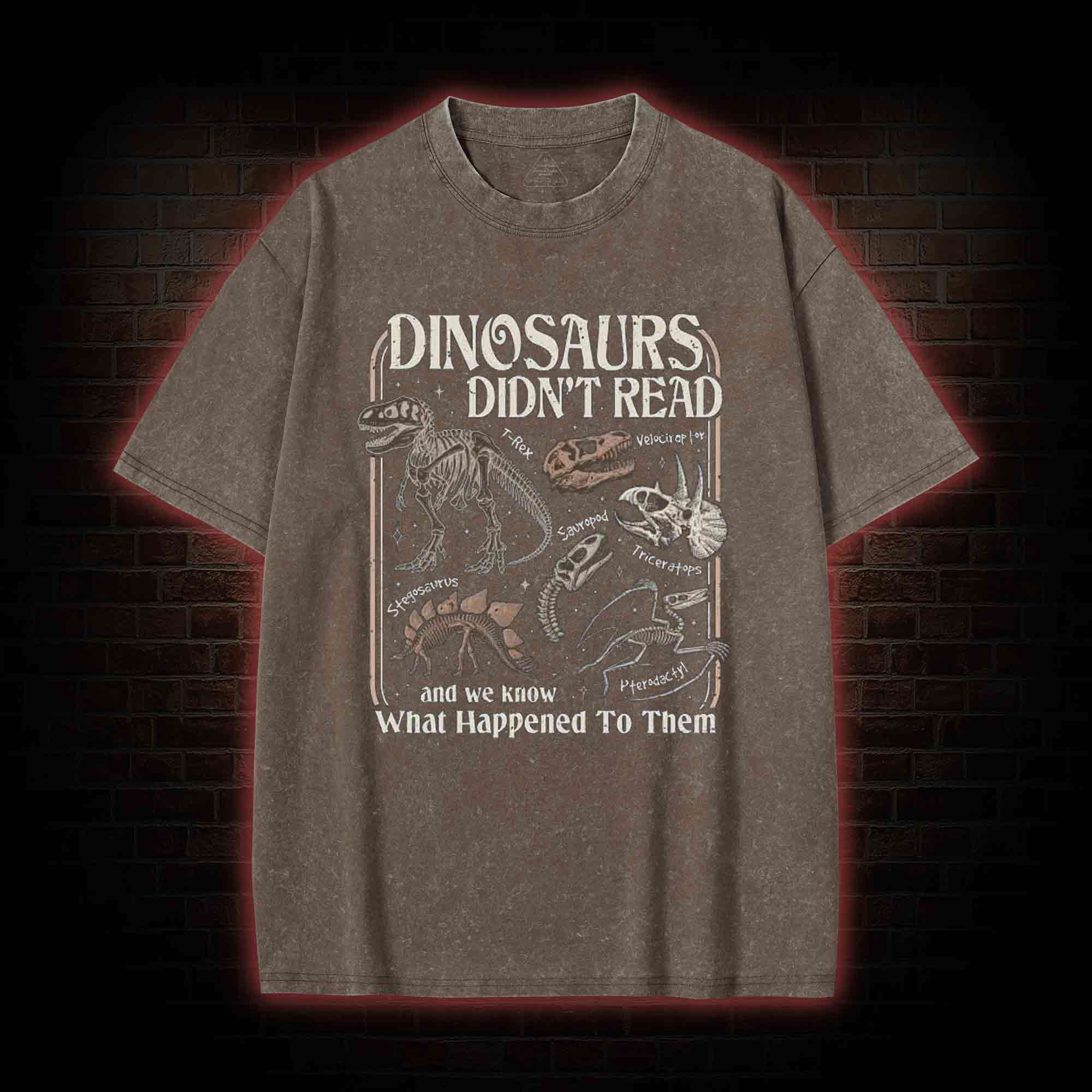 Dinosaurs Didn't Read Washed T-shirt