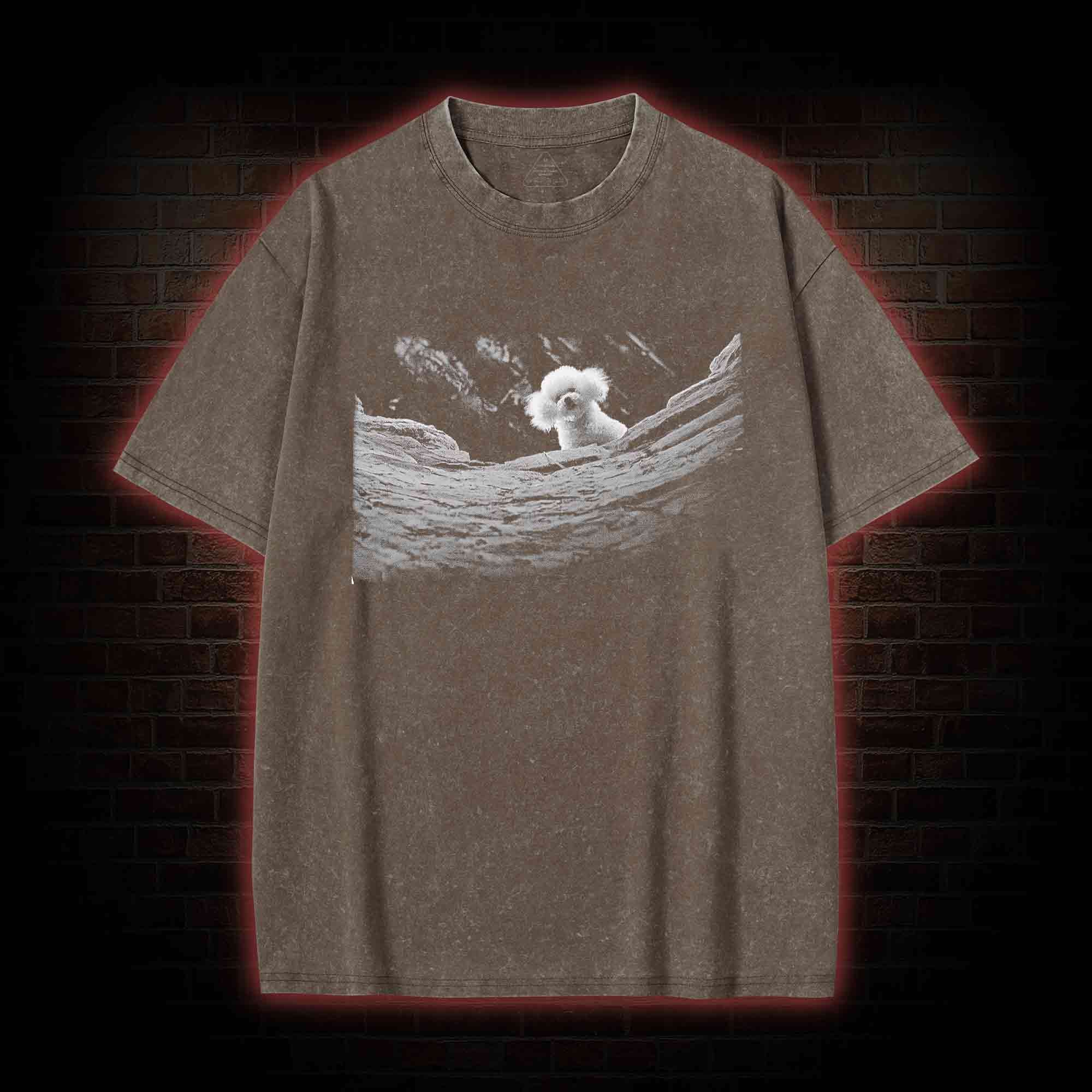 It Rubs the Lotion on Its Skin Washed T-shirt