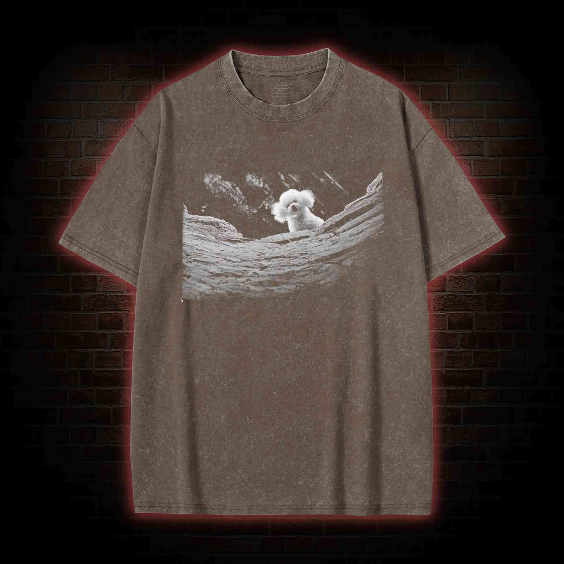 It Rubs the Lotion on Its Skin Washed T-shirt