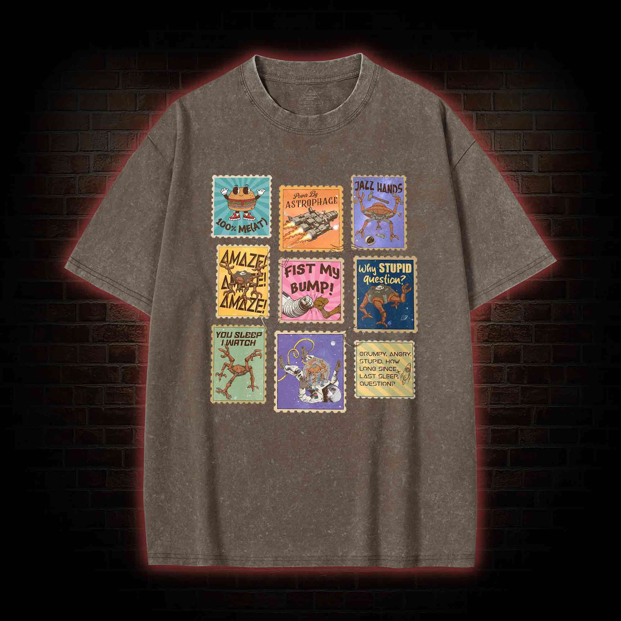 Why Stupid Question Washed T-shirt