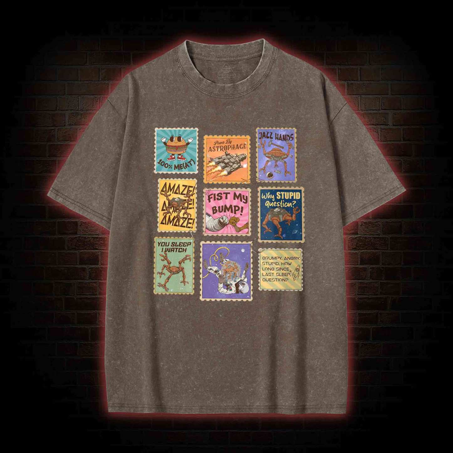 Why Stupid Question Washed T-shirt