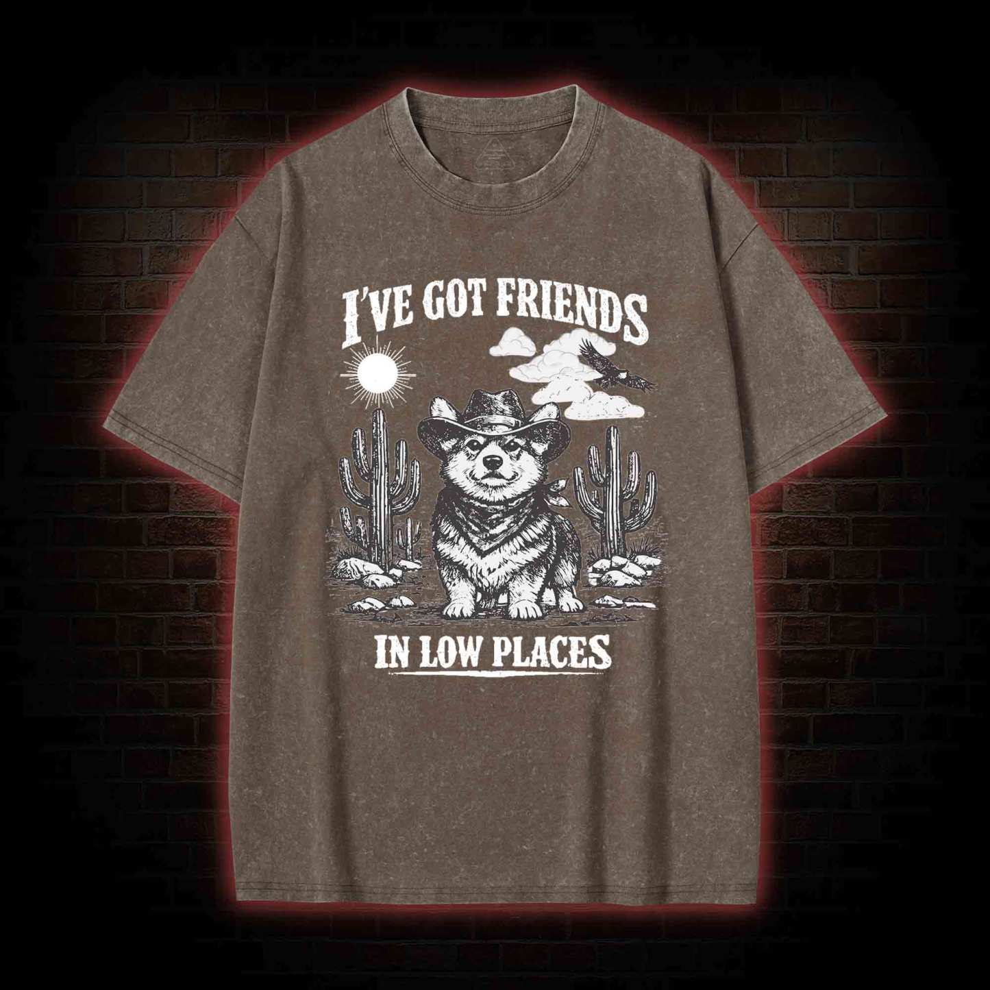 I've Got Friends in Low Places Washed T-shirt