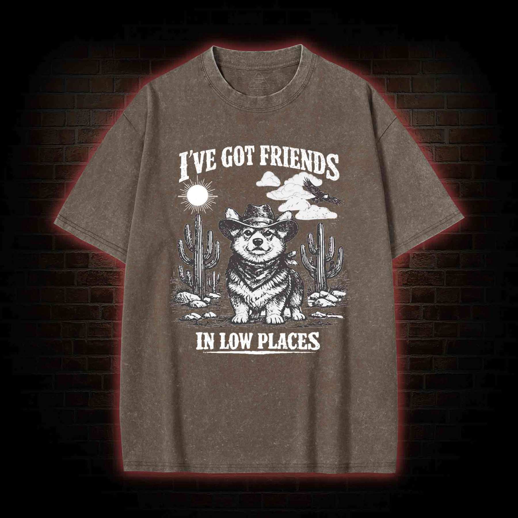 I've Got Friends in Low Places Washed T-shirt