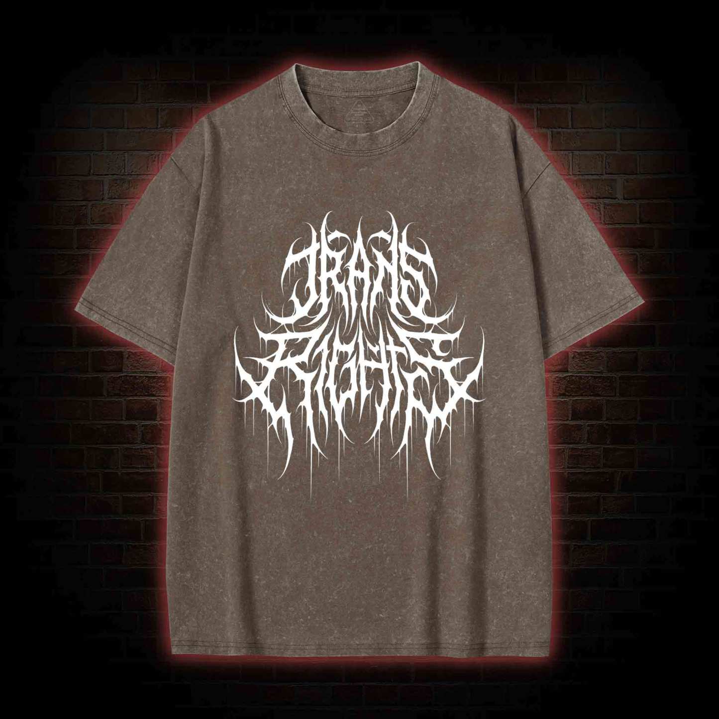 Trans Rights Washed T-shirt