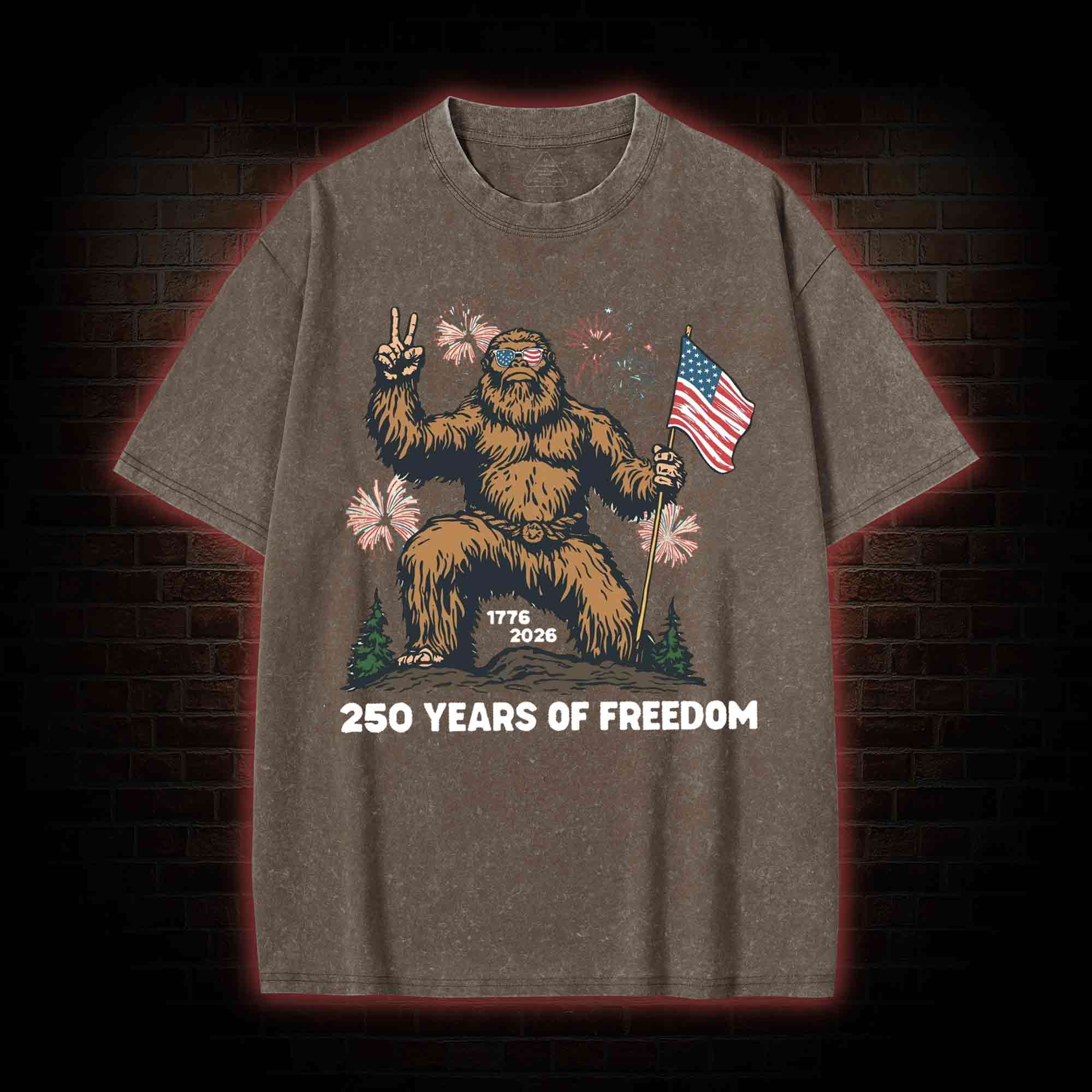 250 Years of Freedom Washed T-shirt