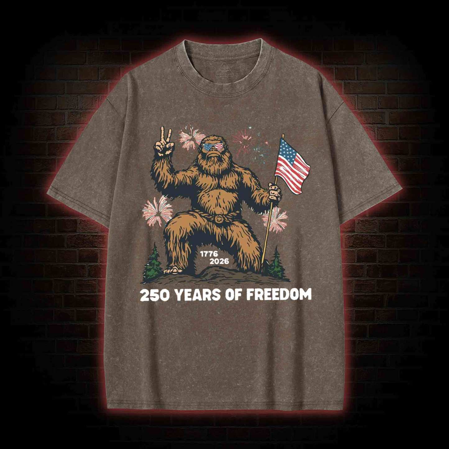 250 Years of Freedom Washed T-shirt