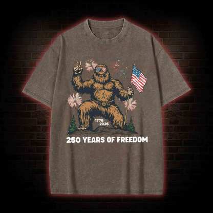 250 Years of Freedom Washed T-shirt